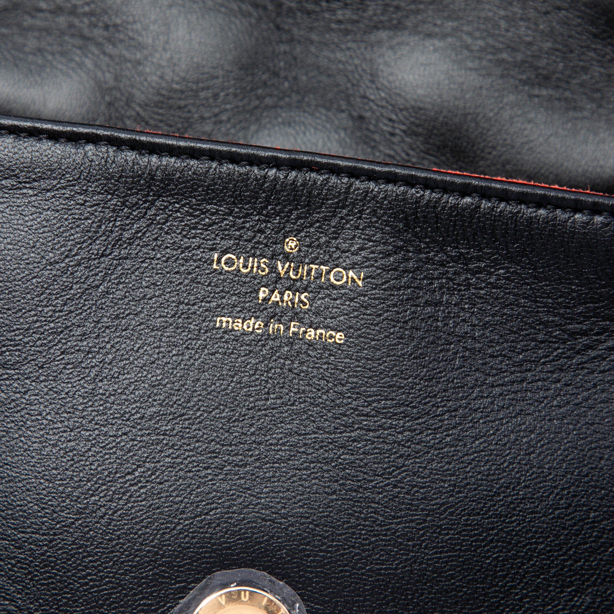 Louis Vuitton Monogram Embossed Puffy Lambskin Coussin Belt Bag - image 5