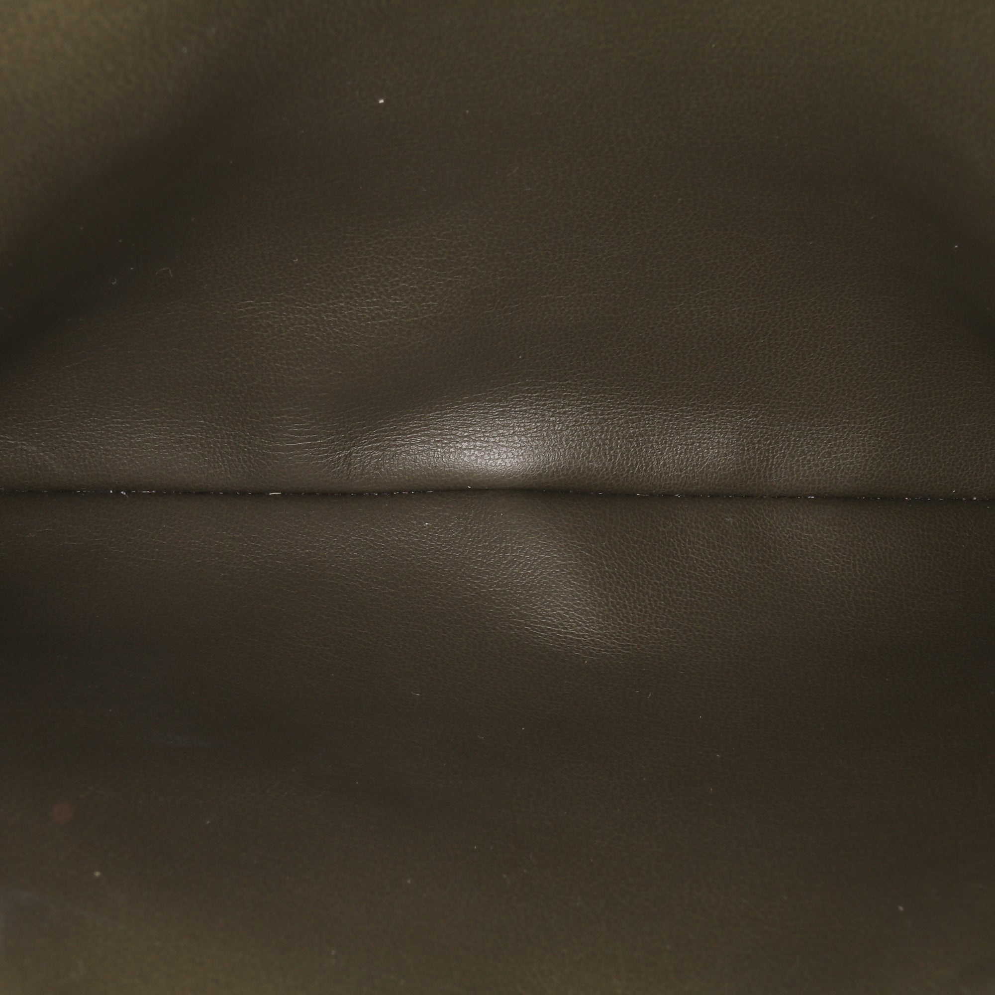 Louis Vuitton Monogram Embossed Puffy Lambskin Coussin PM - image 4
