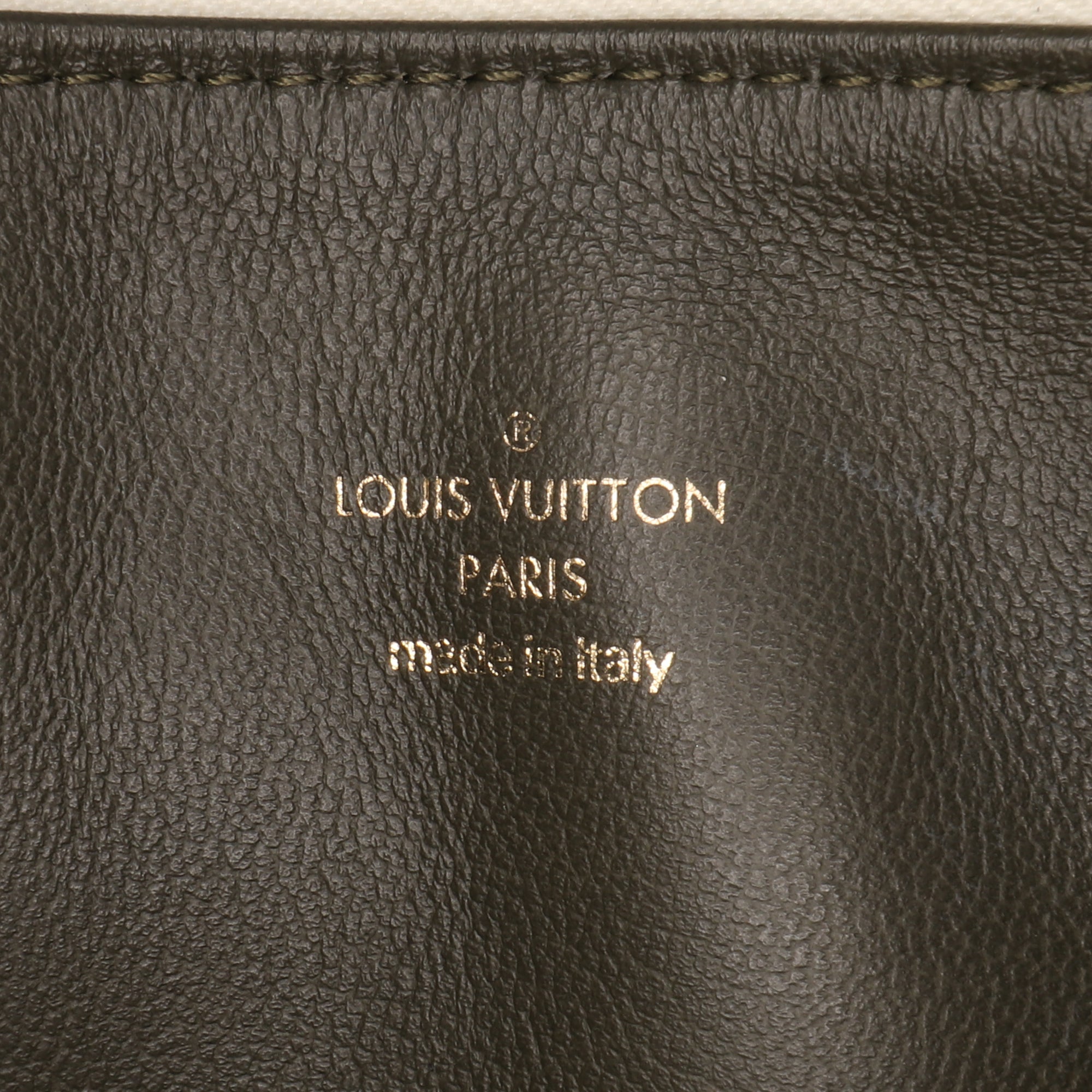 Louis Vuitton Monogram Embossed Puffy Lambskin Coussin PM - image 6