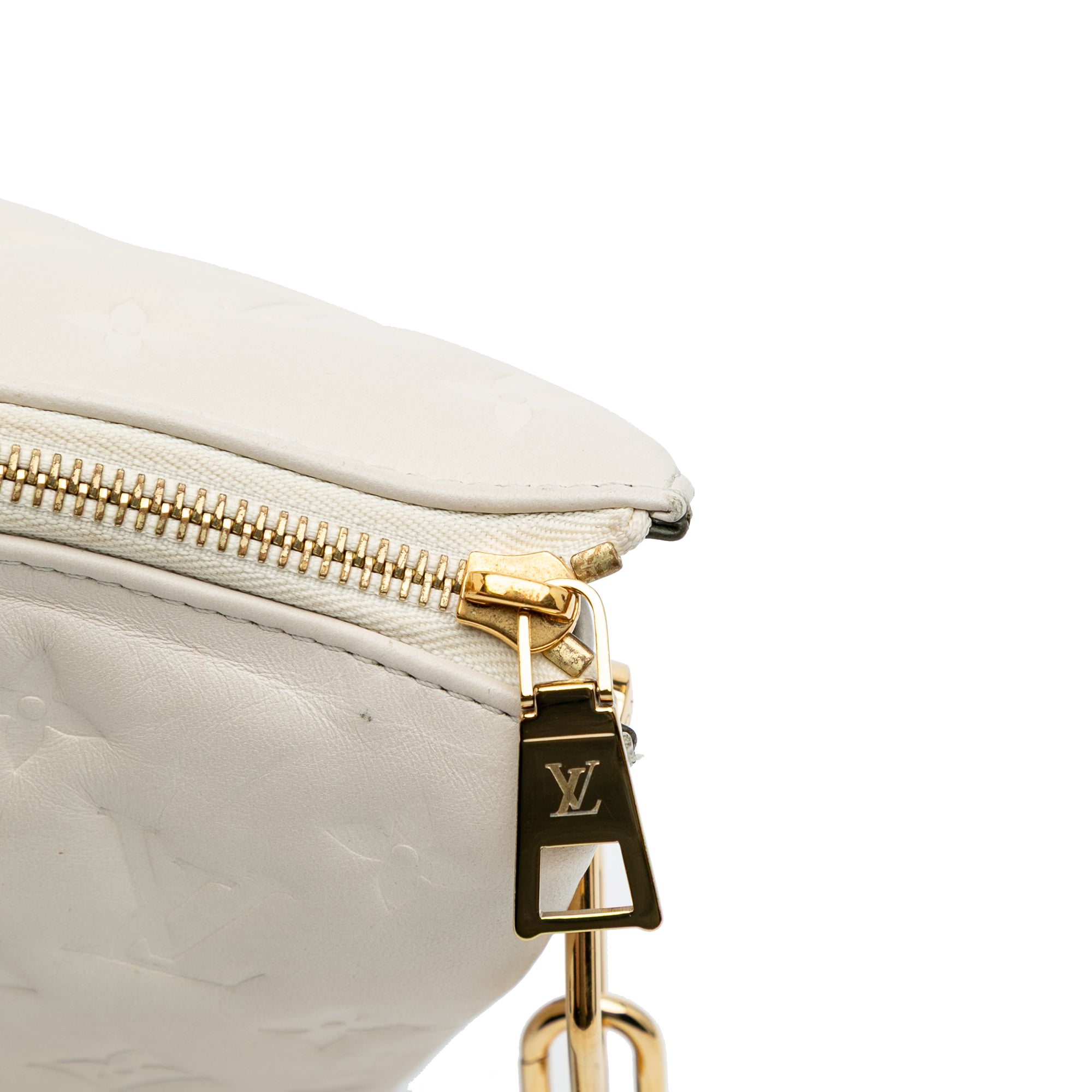 Louis Vuitton Monogram Embossed Puffy Lambskin Coussin PM - image 7