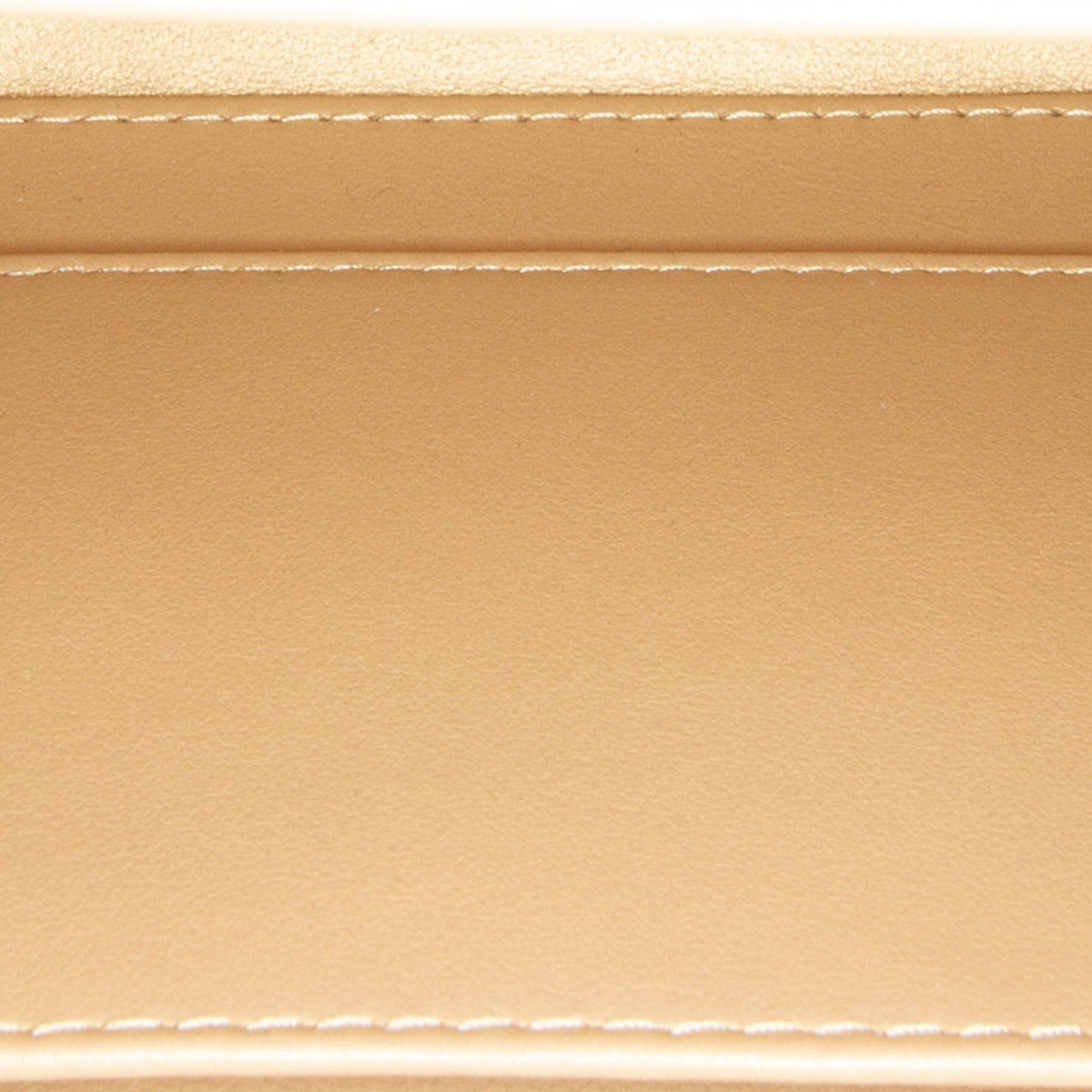 Chanel Golden Plate Vanity Case - image 7