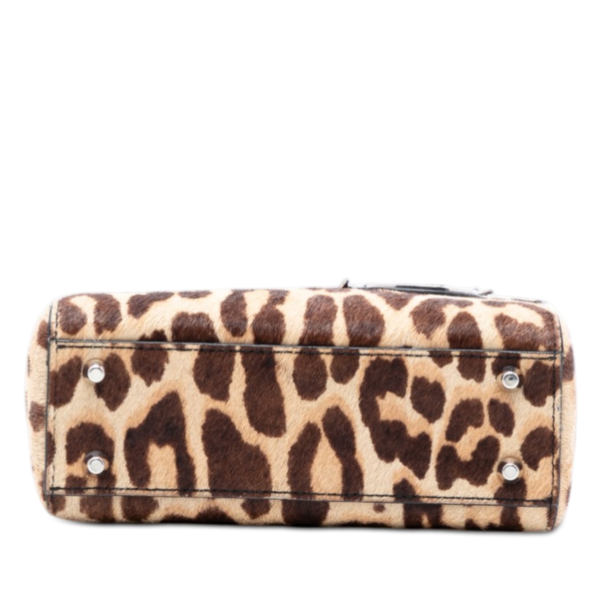 Dior Mini Pony Hair Leopard Print Lady Dior - image 3
