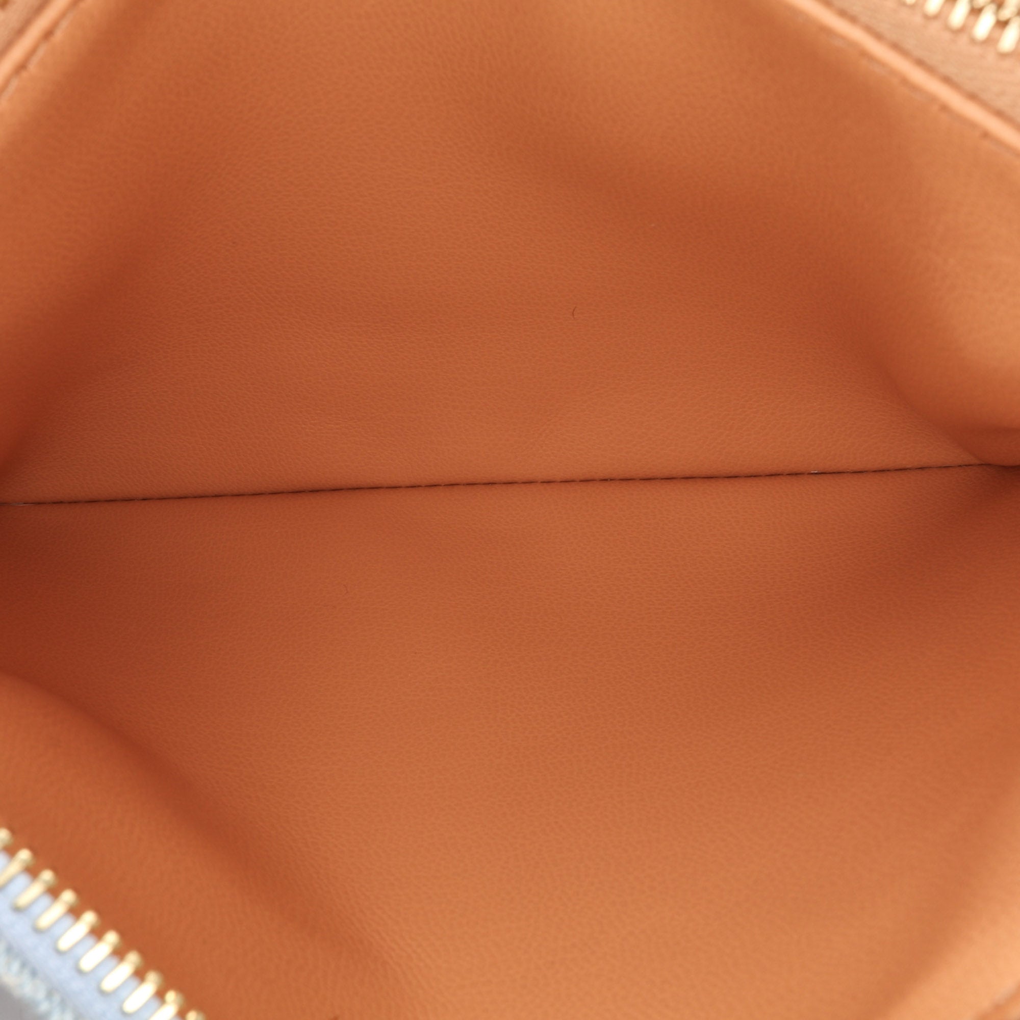 Louis Vuitton Monogram Denim Coussin BB - image 5