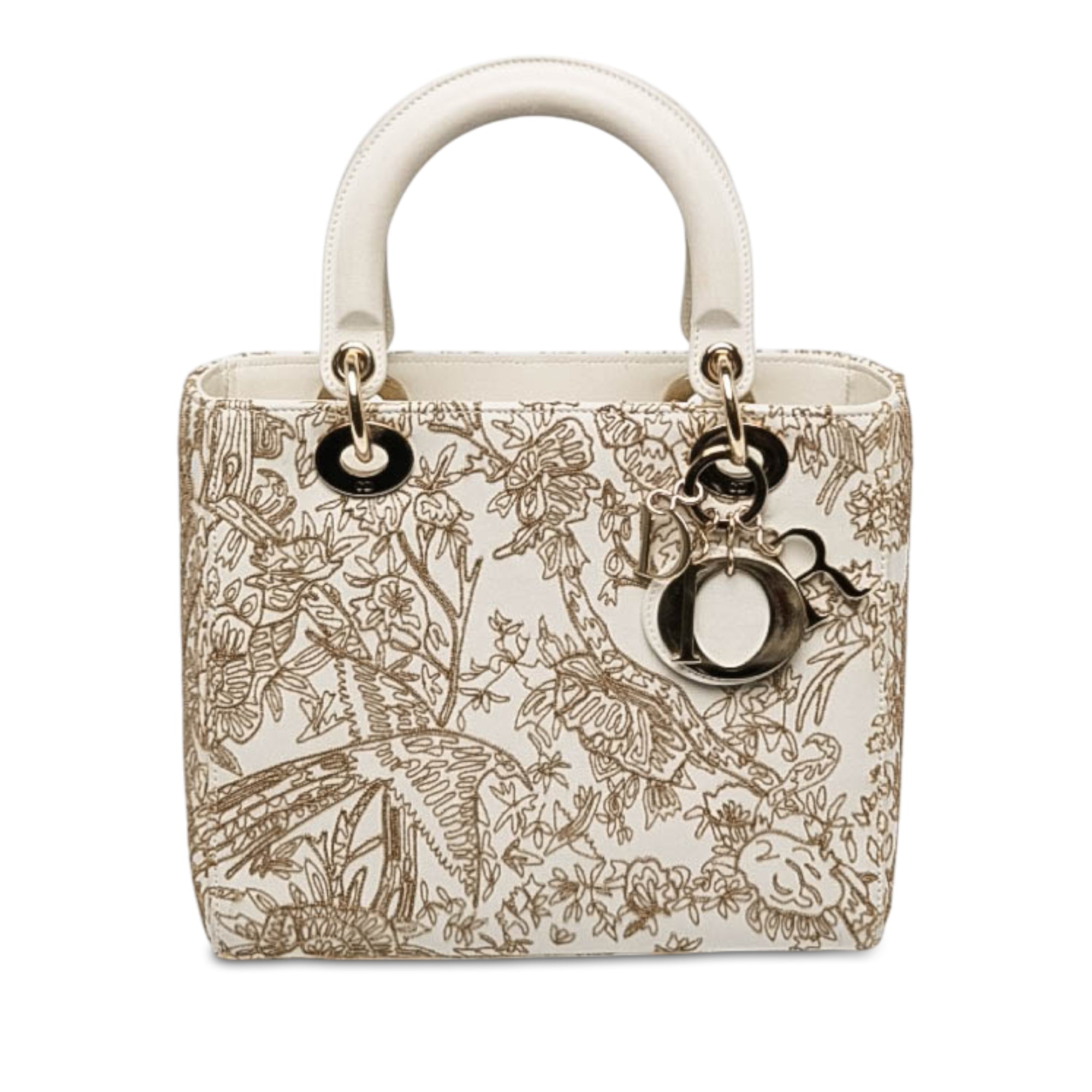 Dior Medium Calfskin Embroidered Jardin D Hiver Lady Dior - image 1
