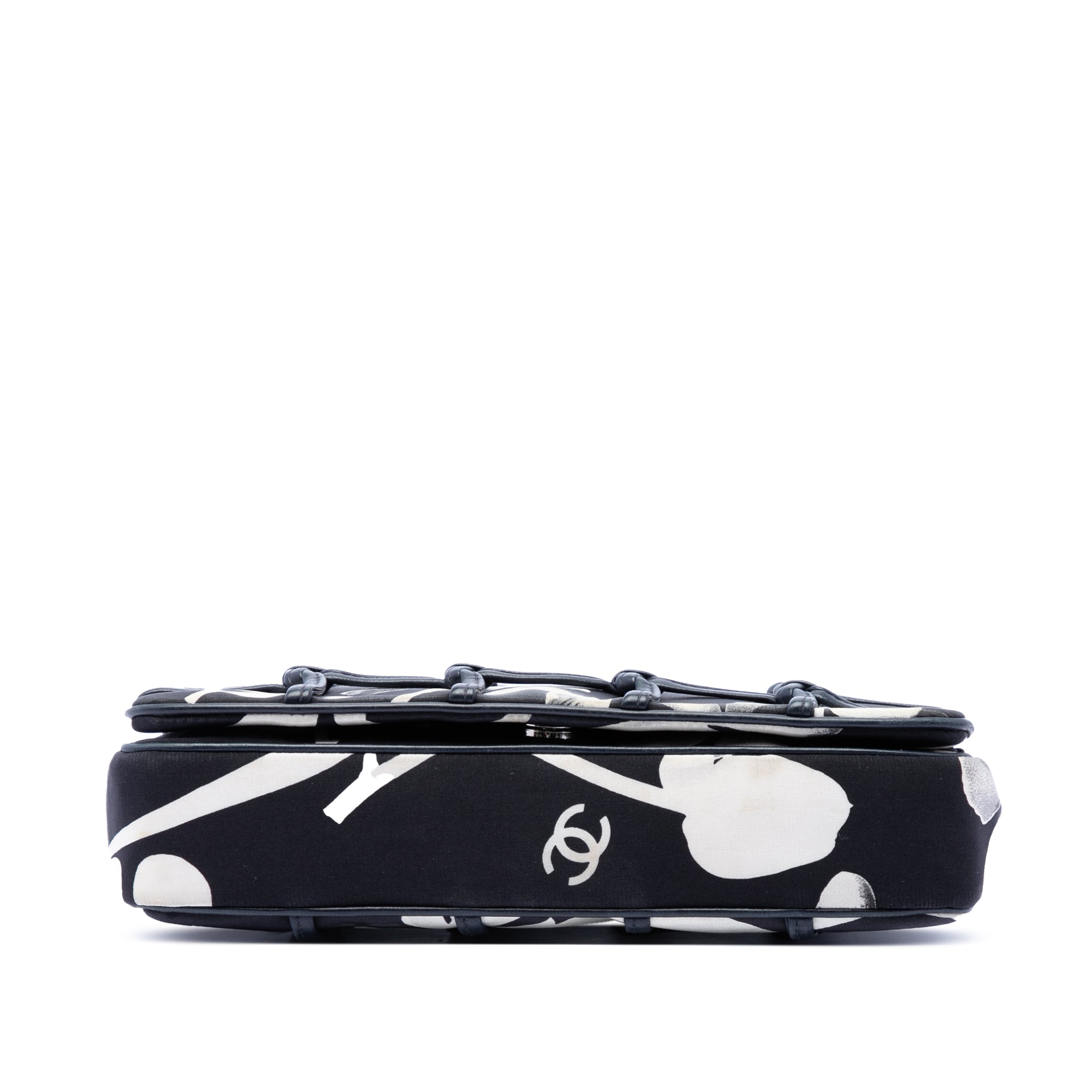 Chanel Small Silk and Lambskin Net Tahiti Flap - image 3