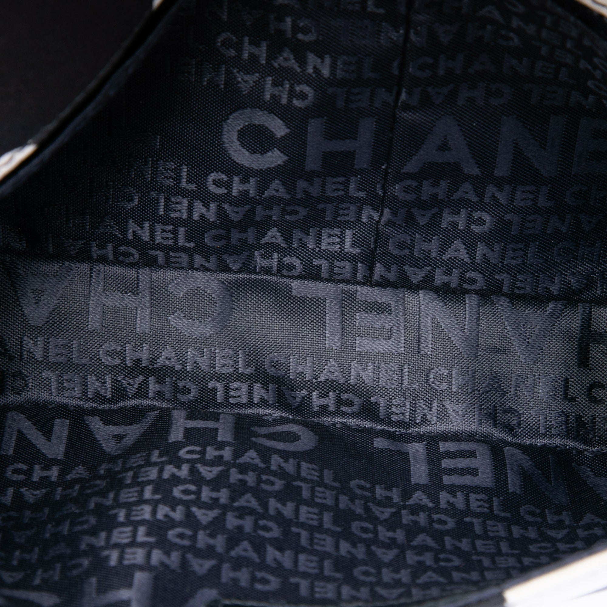 Chanel Small Silk and Lambskin Net Tahiti Flap - image 4