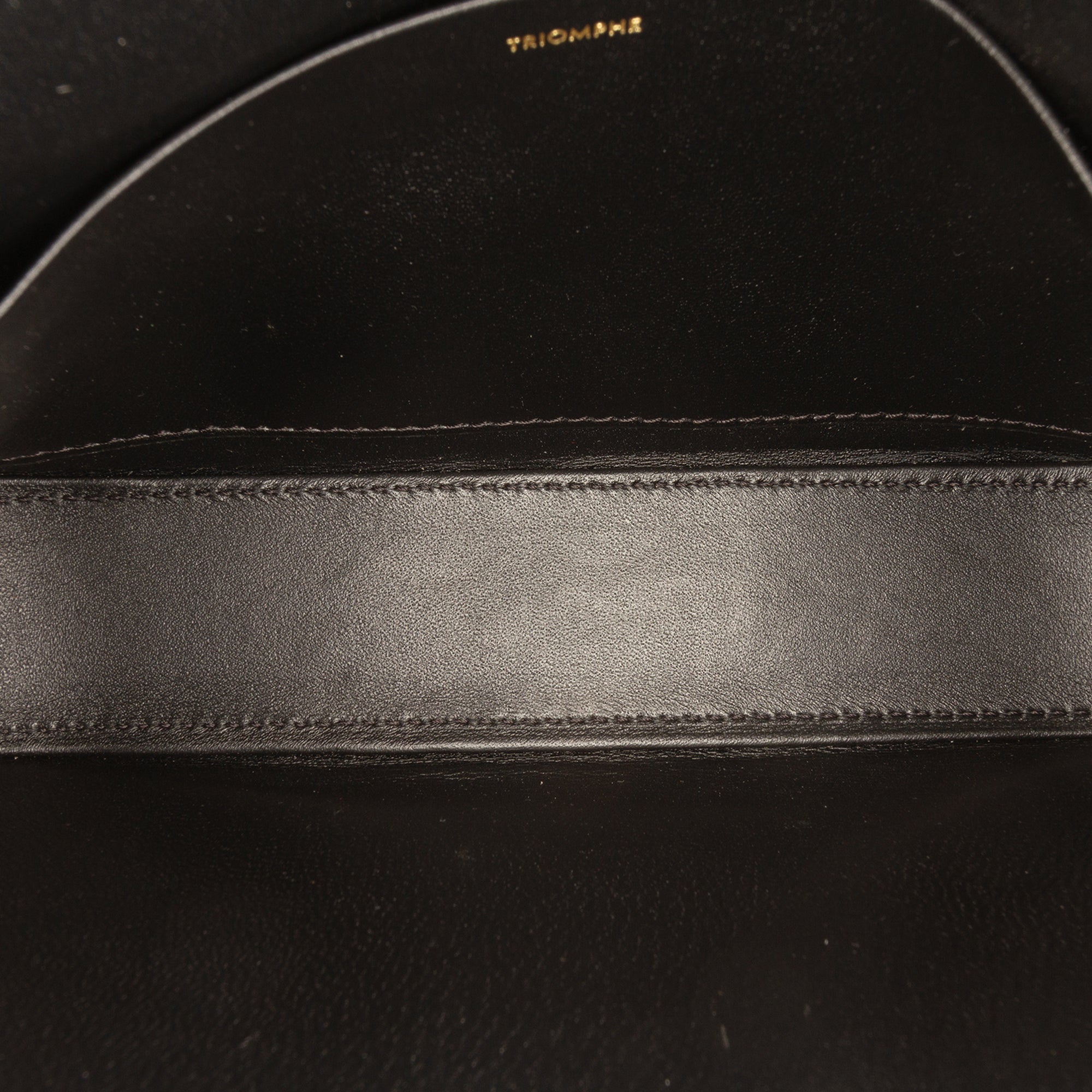 Celine Shiny Calfskin Triomphe Claude Shoulder Bag - image 4