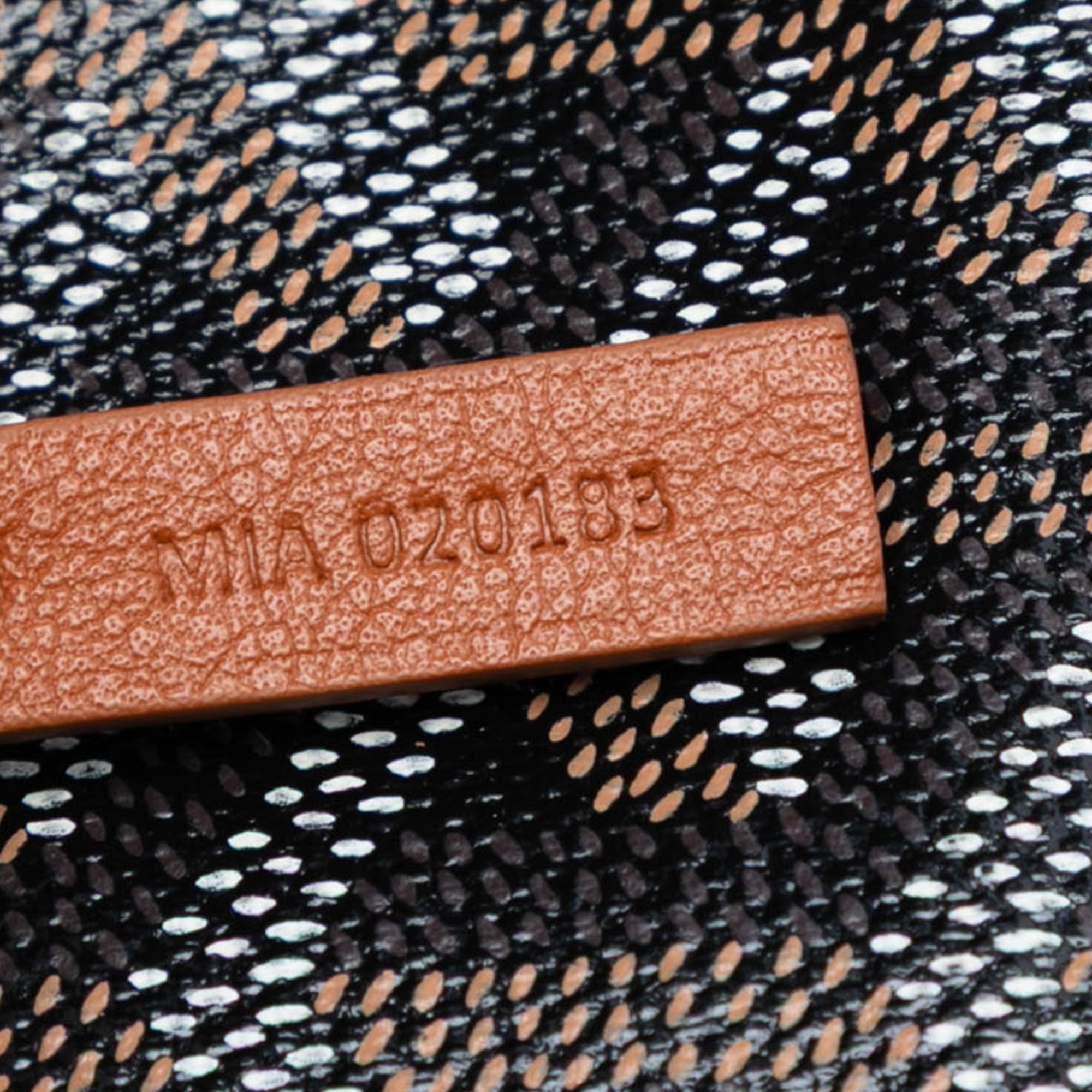 Goyard Goyardine Saint Louis PM - image 6