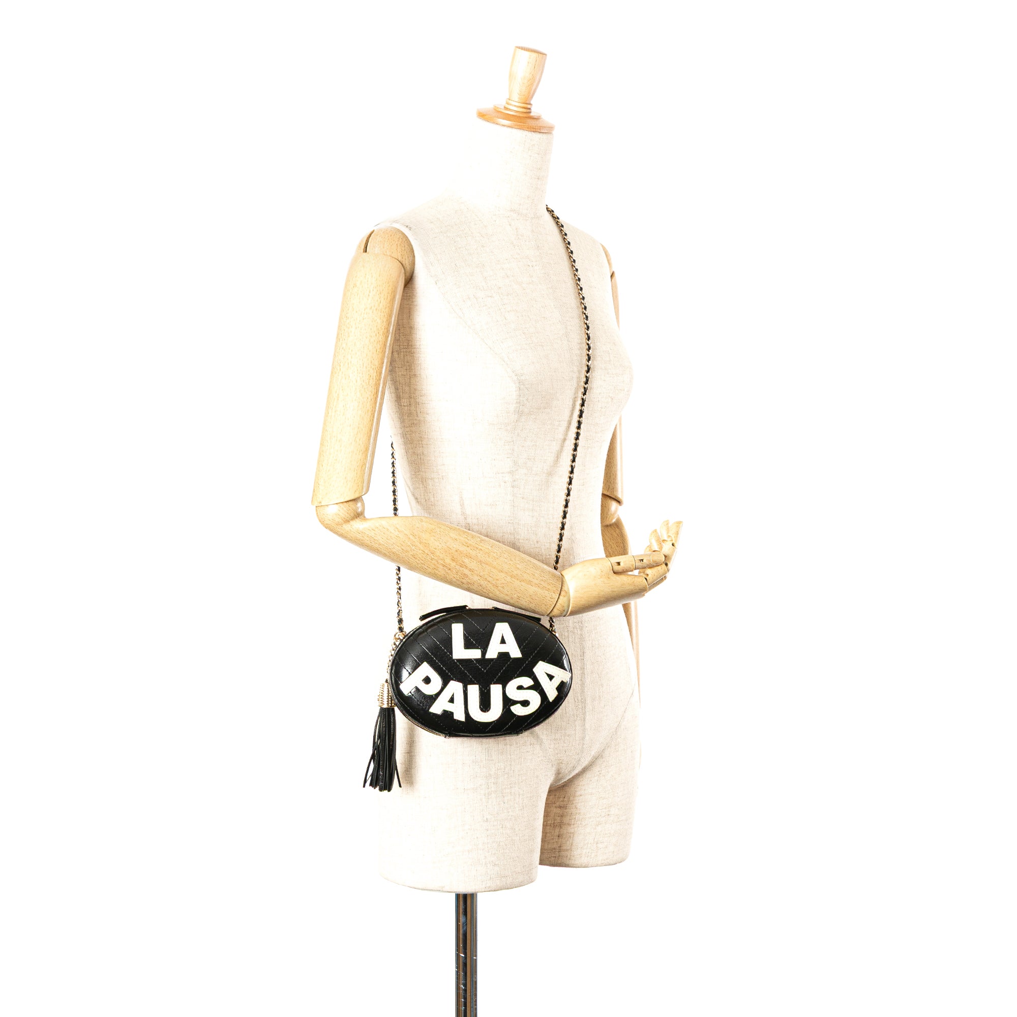 Chanel Chevron Lambskin La Pausa Evening Bag - image 11