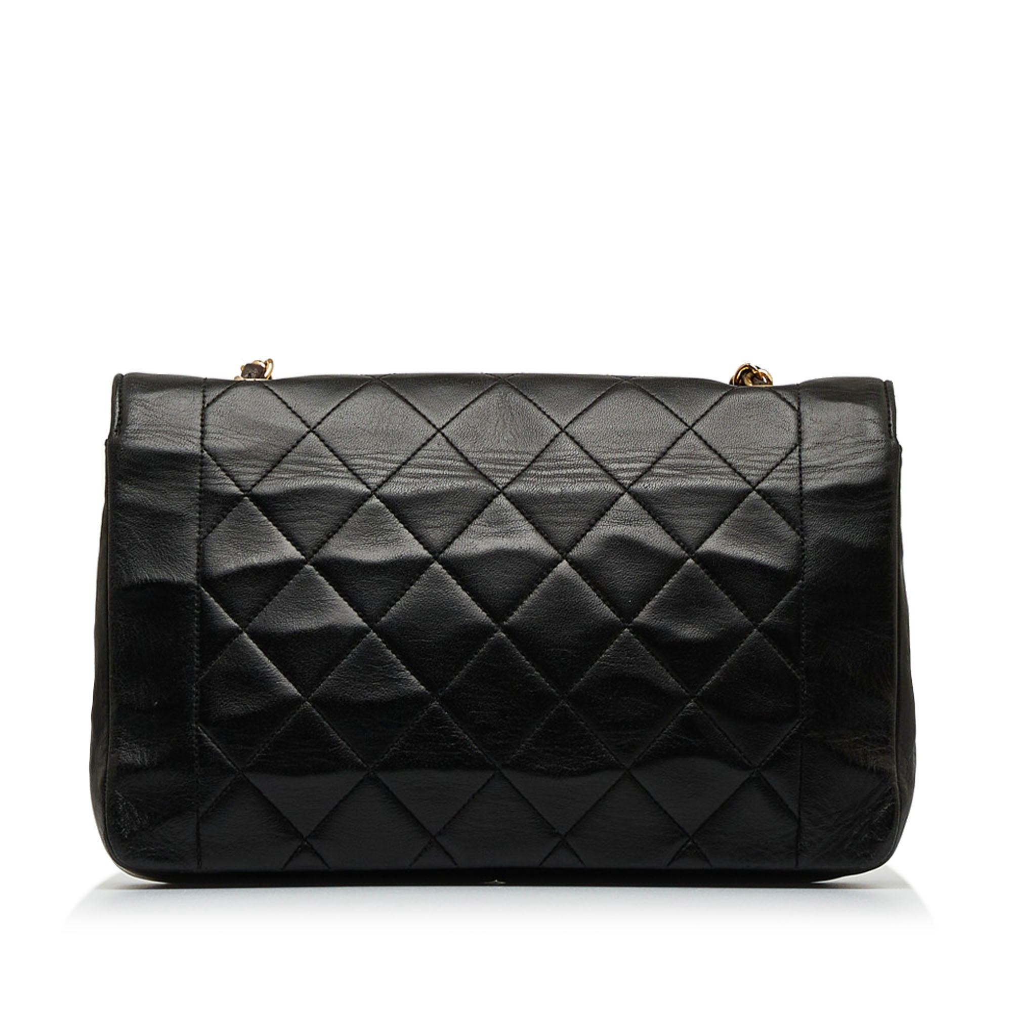 Chanel Medium Lambskin Diana Flap - image 3