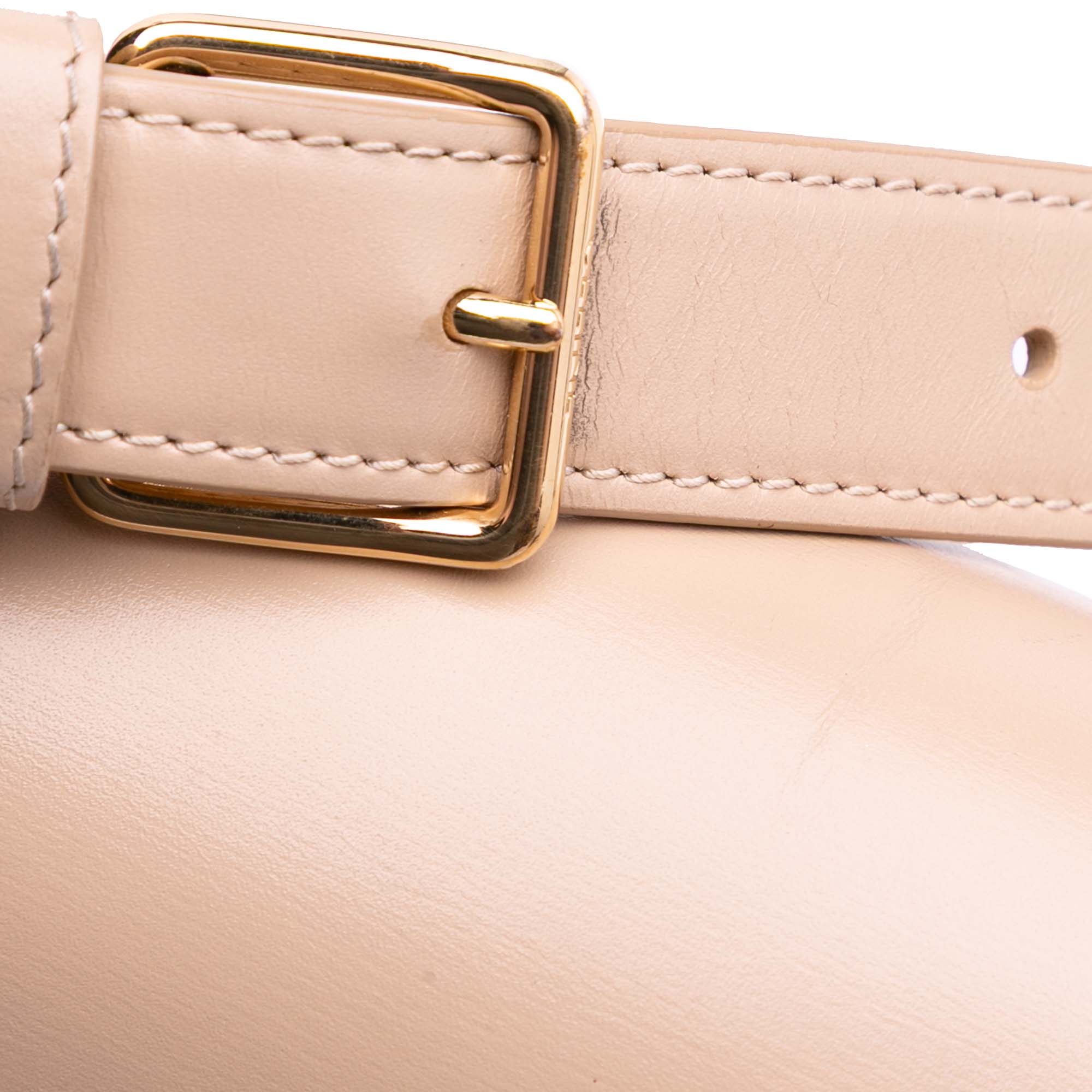 Celine Classique Shiny Calfskin Triomphe Crossbody - image 10