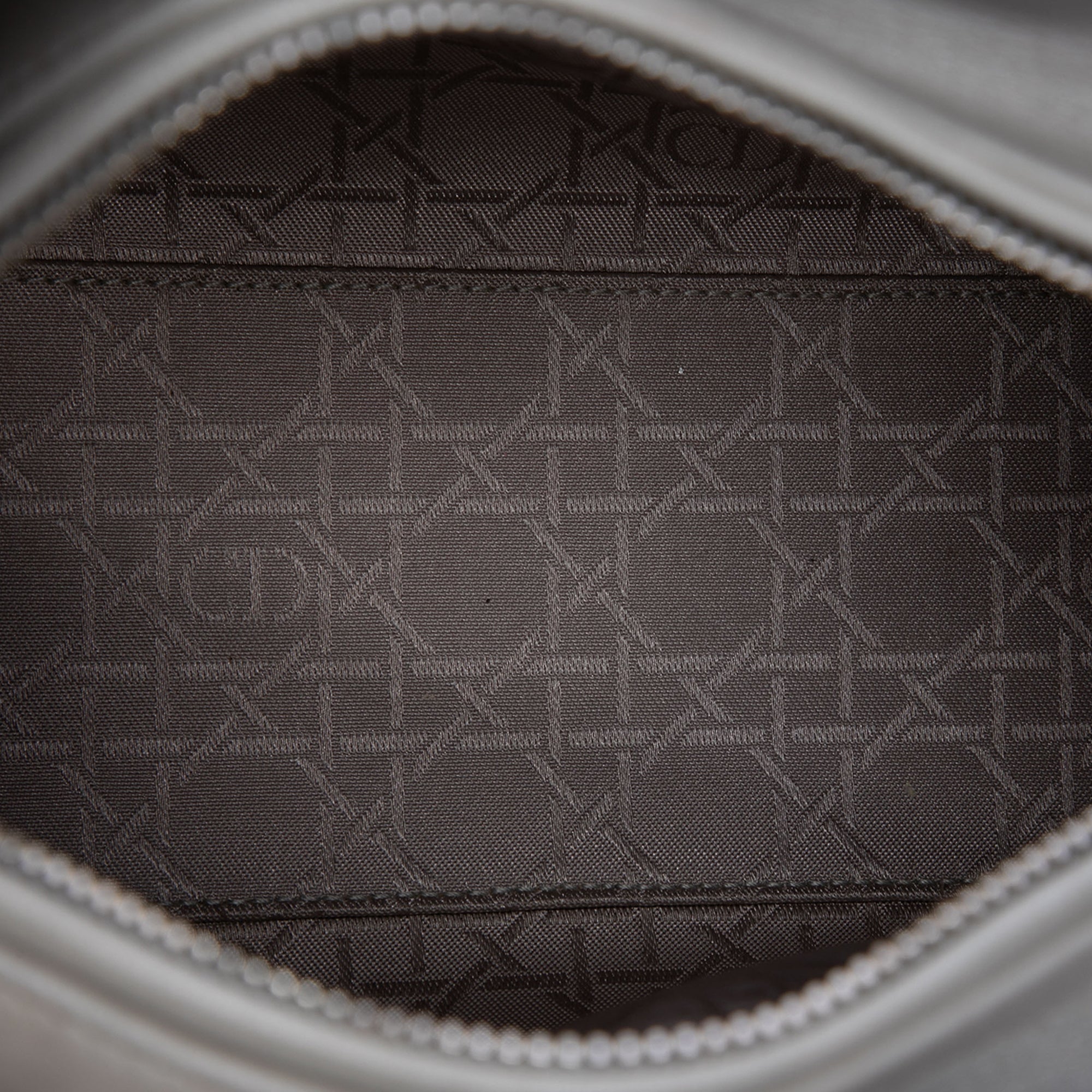 Dior Medium Pearlescent Lambskin Cannage Lady Dior - image 4