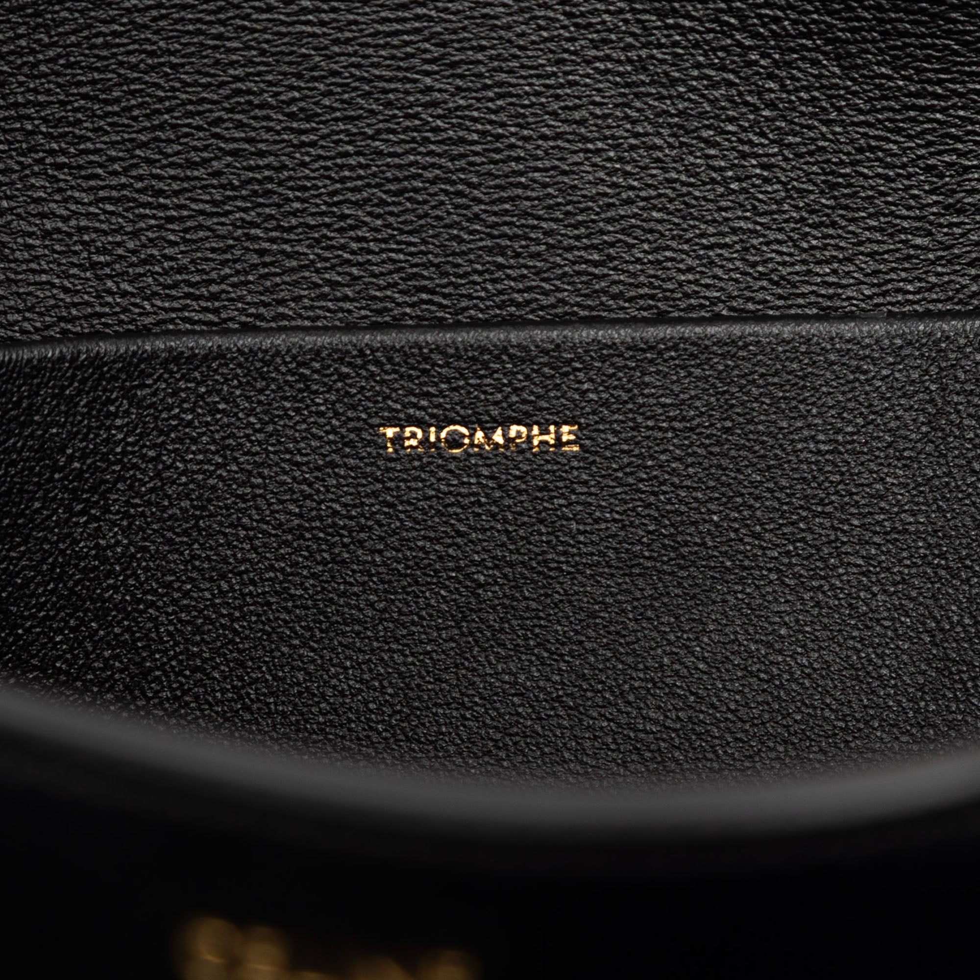 Celine Shiny Calfskin Triomphe Claude Shoulder Bag - image 6