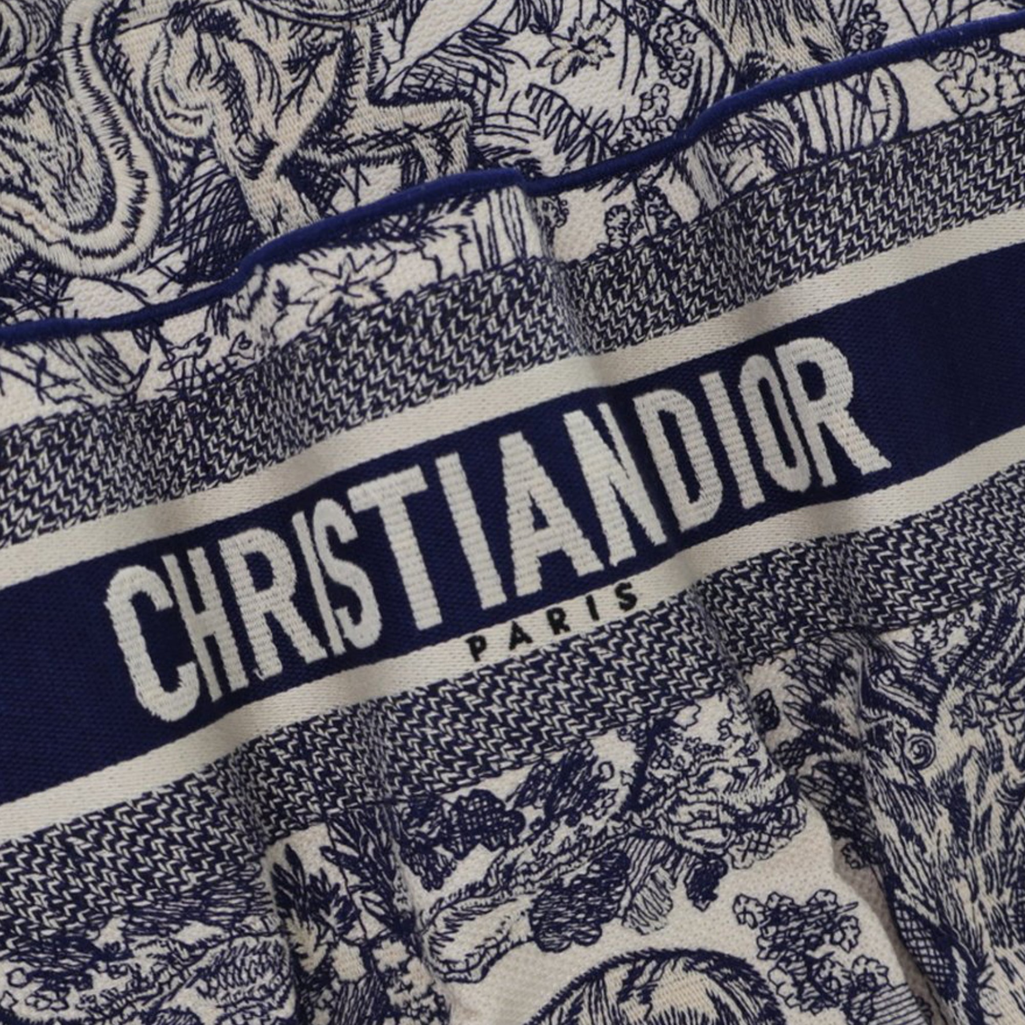 Dior Canvas Embroidered Toile De Jouy Catherine Tote - image 5