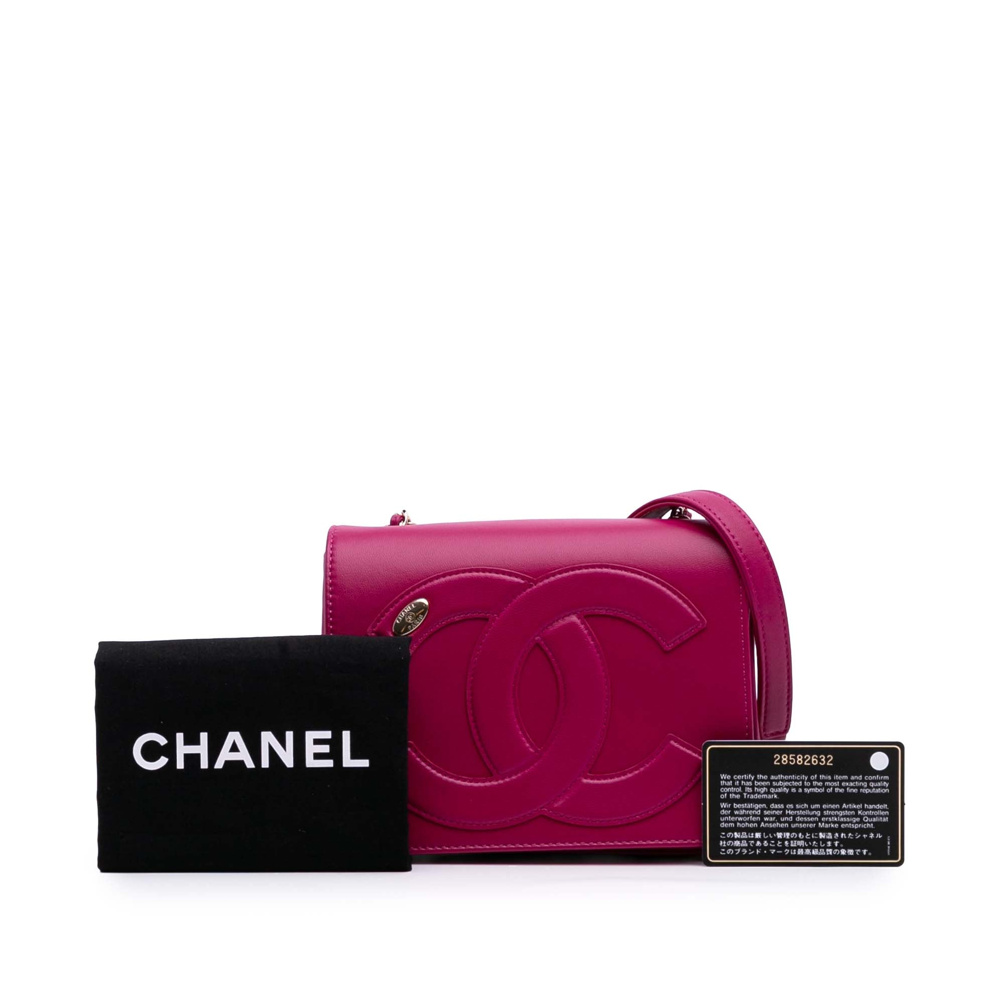 Chanel Lambskin CC Mania Flap - image 11