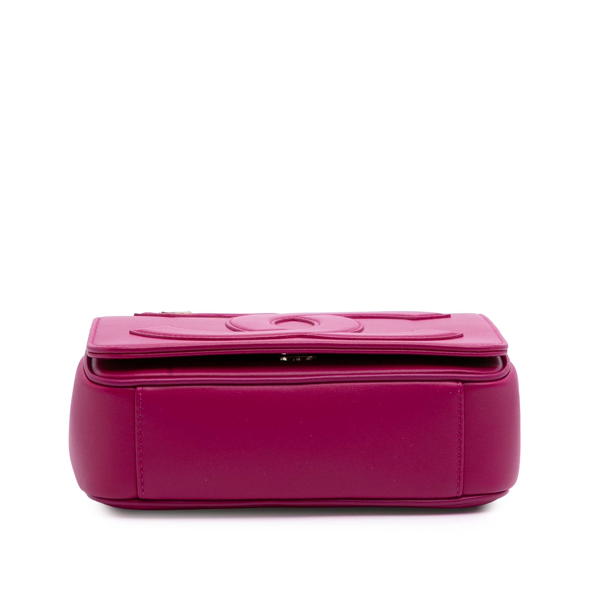 Chanel Lambskin CC Mania Flap - image 3