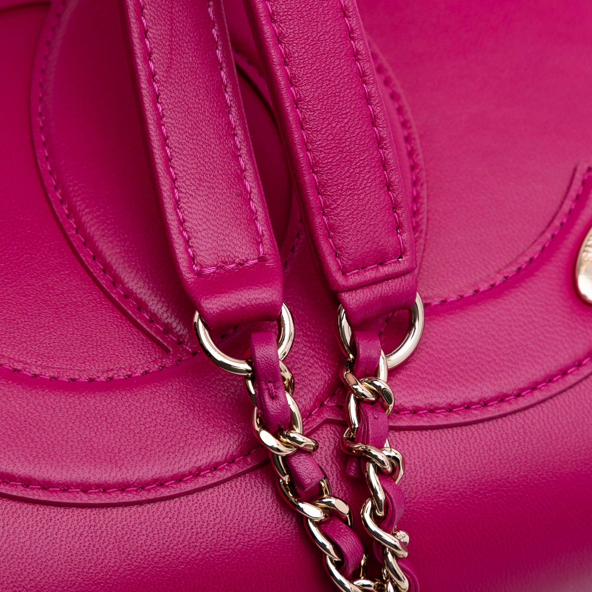 Chanel Lambskin CC Mania Flap - image 6
