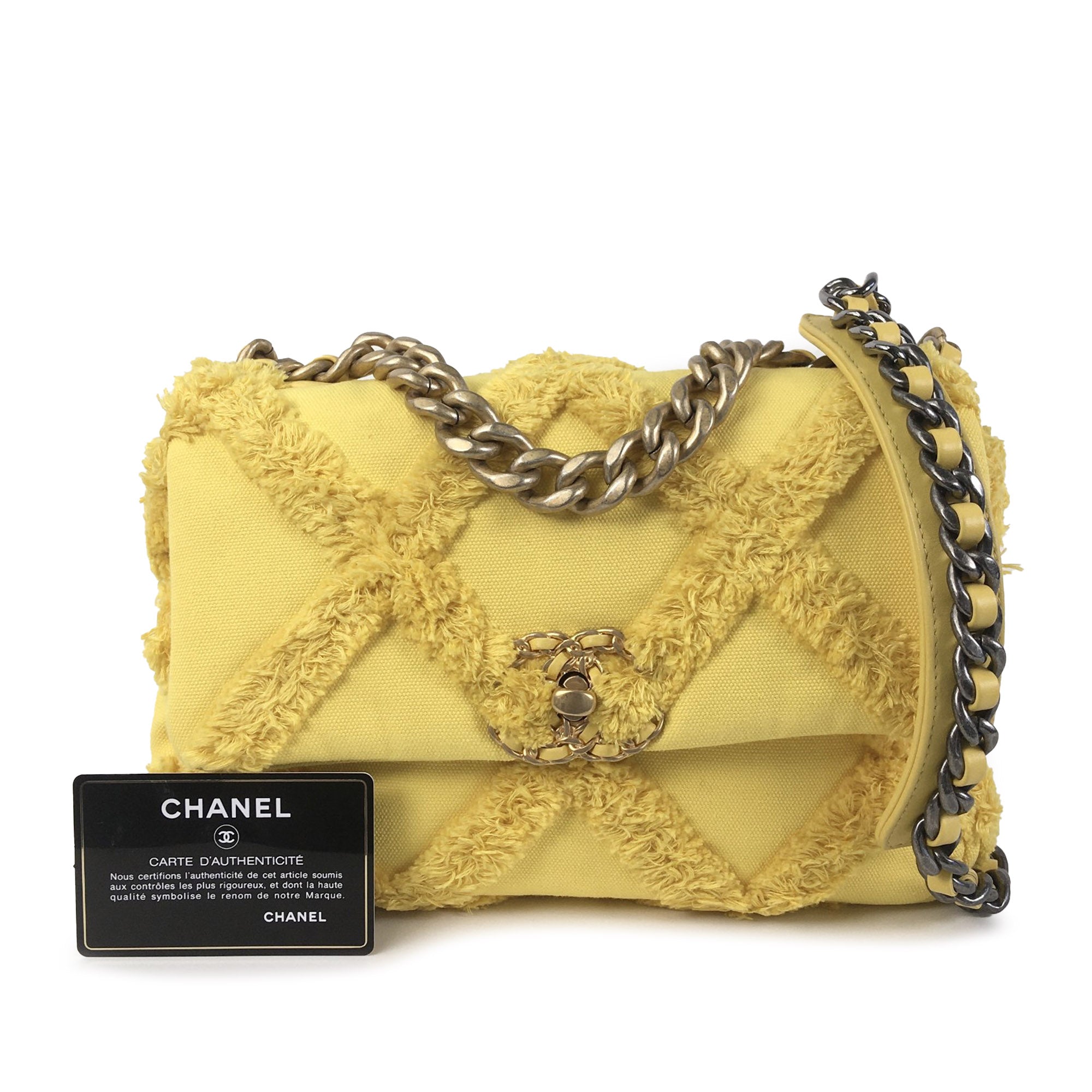 Chanel Medium Canvas 19 Flap - image 15