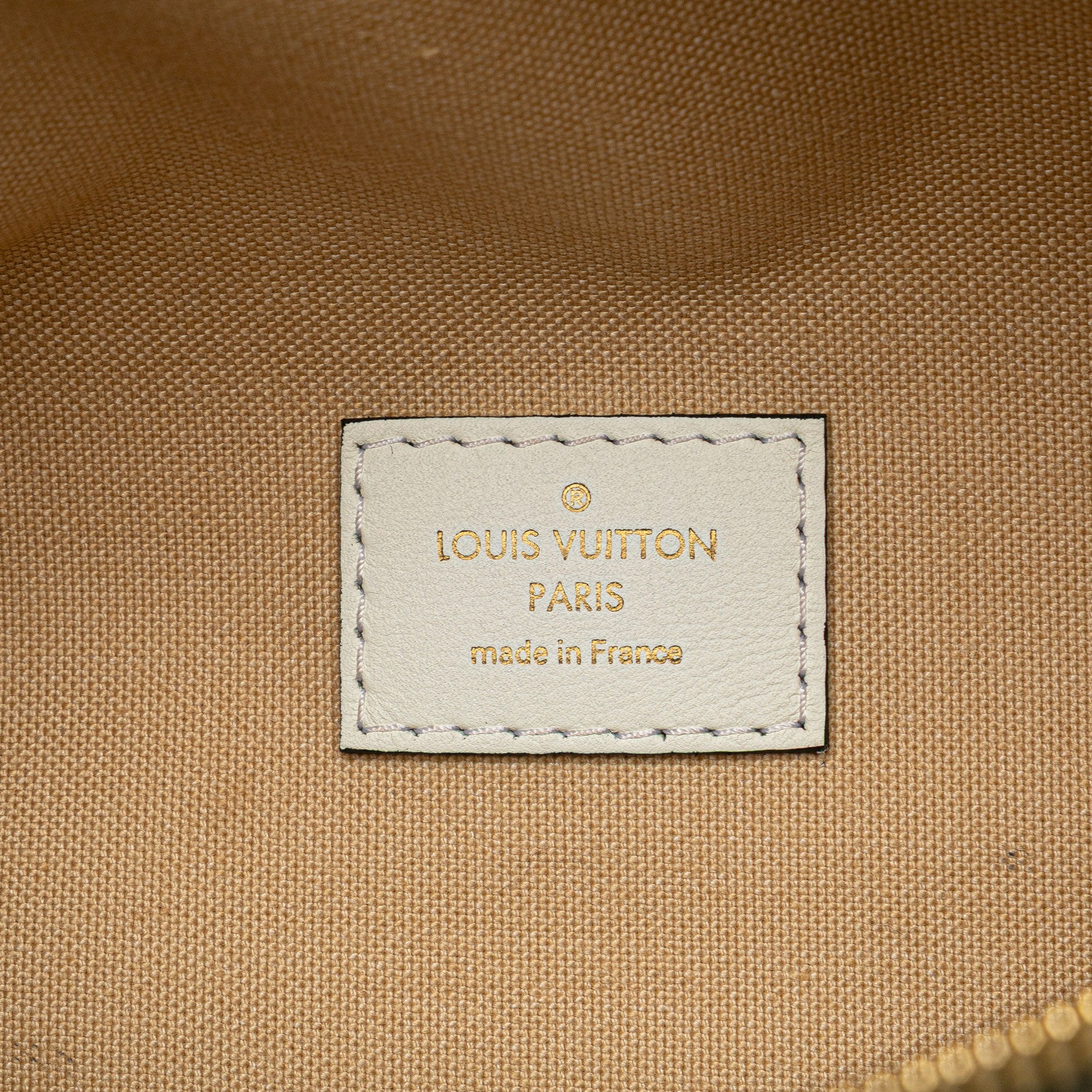 Louis Vuitton Monogram Giant Bumbag - image 5