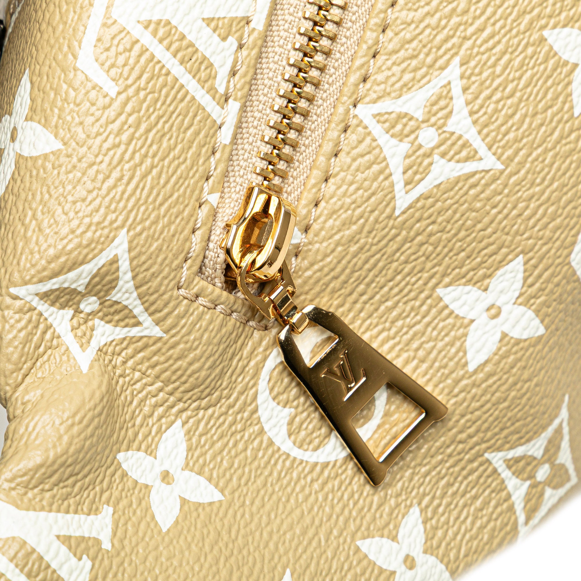 Louis Vuitton Monogram Giant Bumbag - image 8