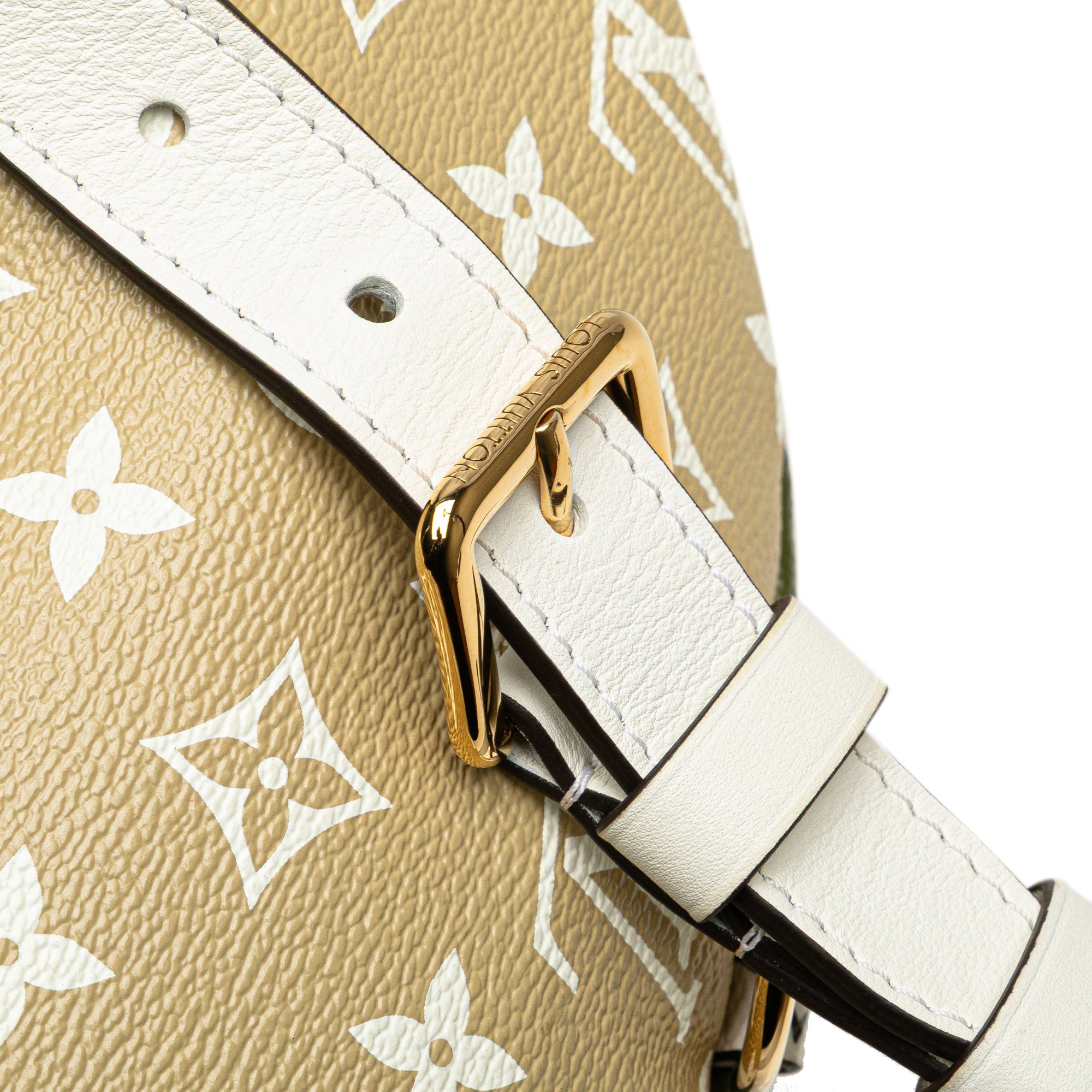 Louis Vuitton Monogram Giant Bumbag - image 9