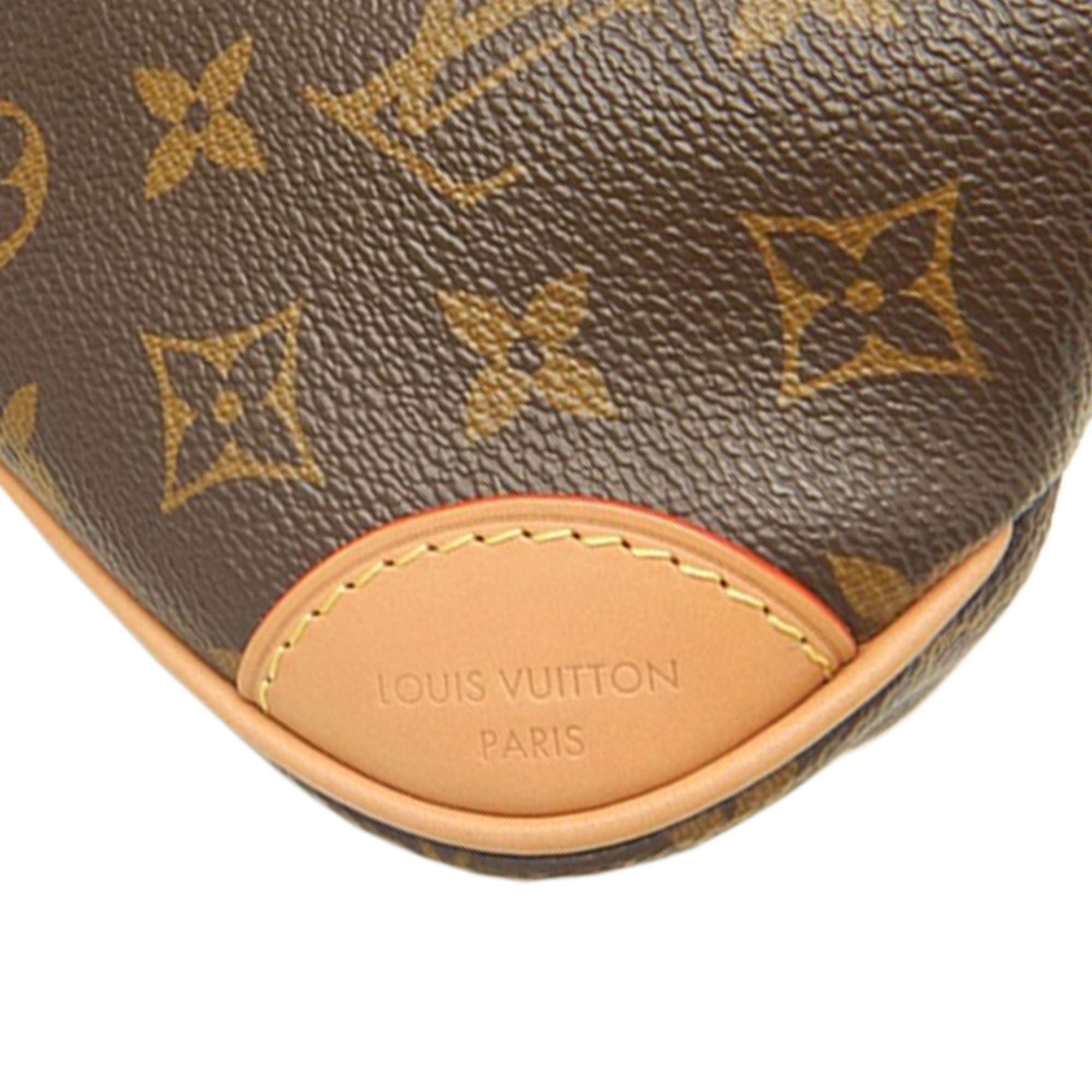 Louis Vuitton Monogram Nano Boulogne - image 10