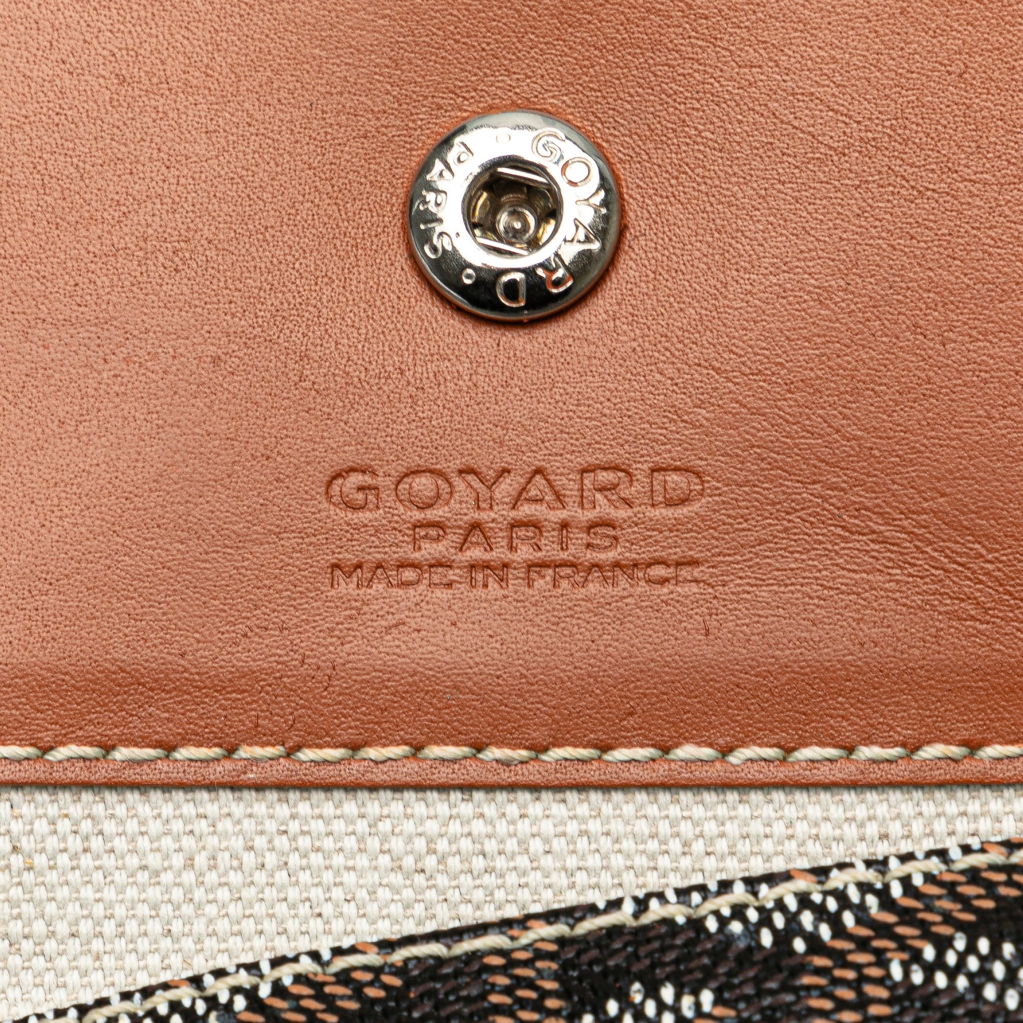 Goyard Goyardine Saint Louis PM - image 6