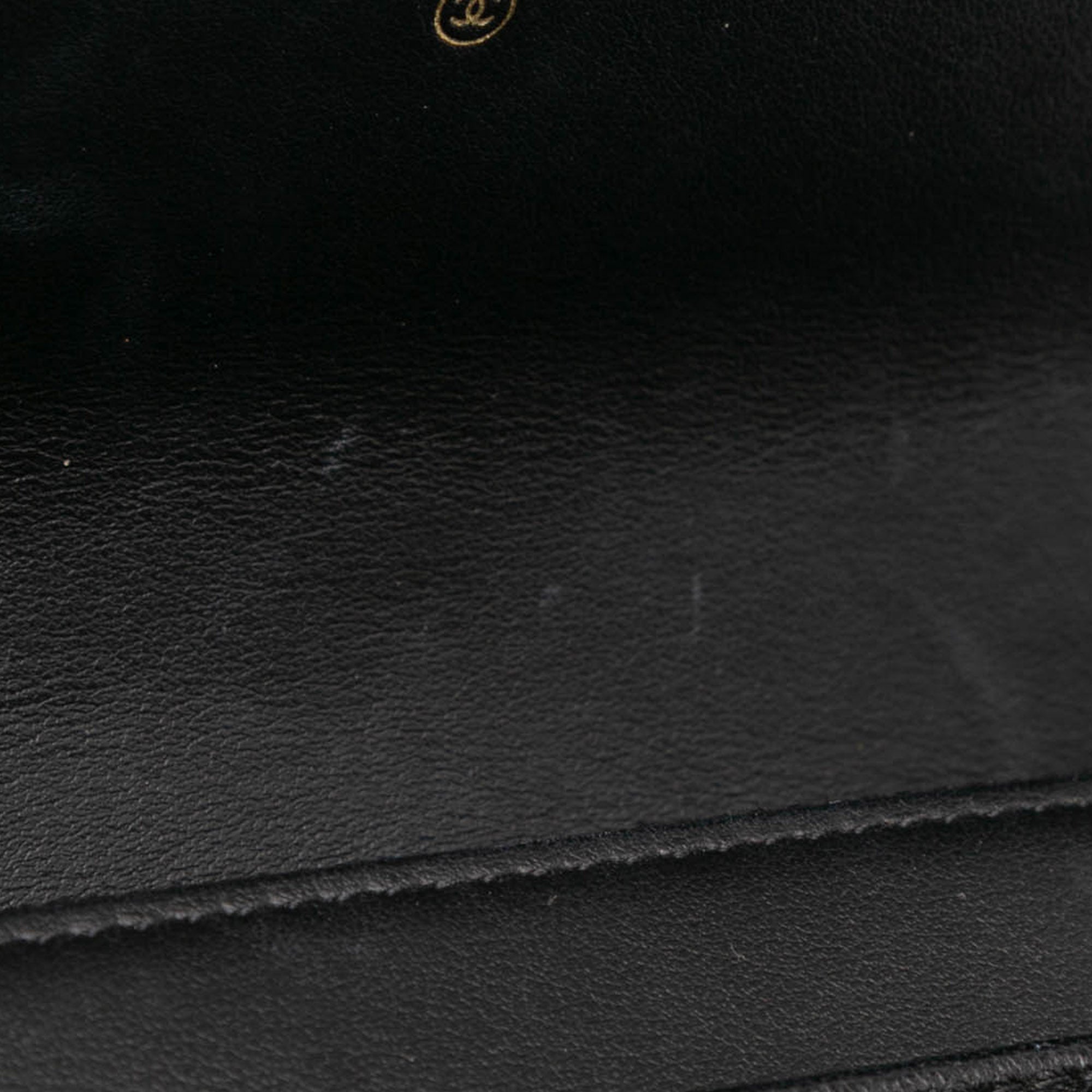 Chanel Quilted Lambskin 19 Wallet on Chain - image 9