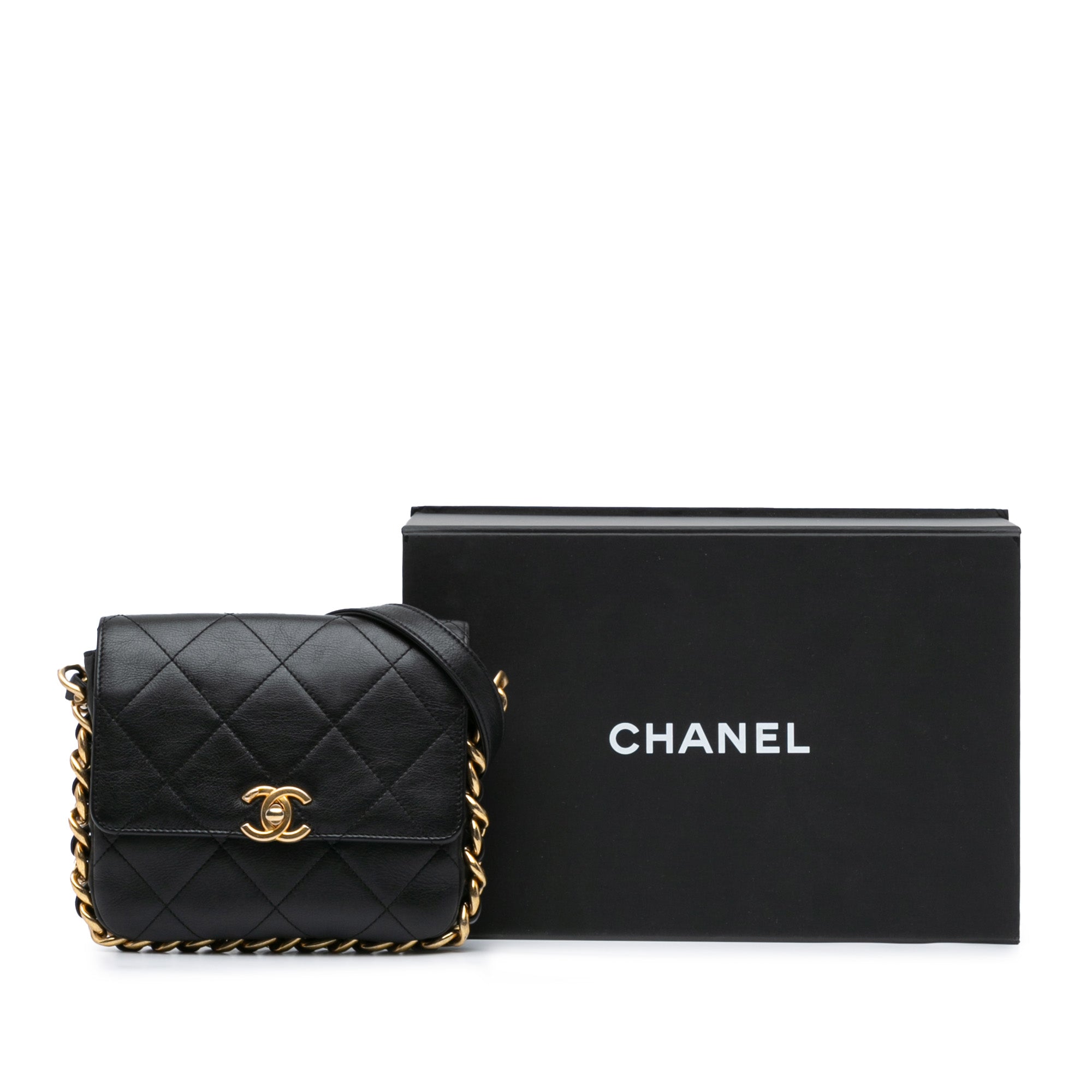 Chanel Small Quilted Calfskin Framing Chain Flap - image 8