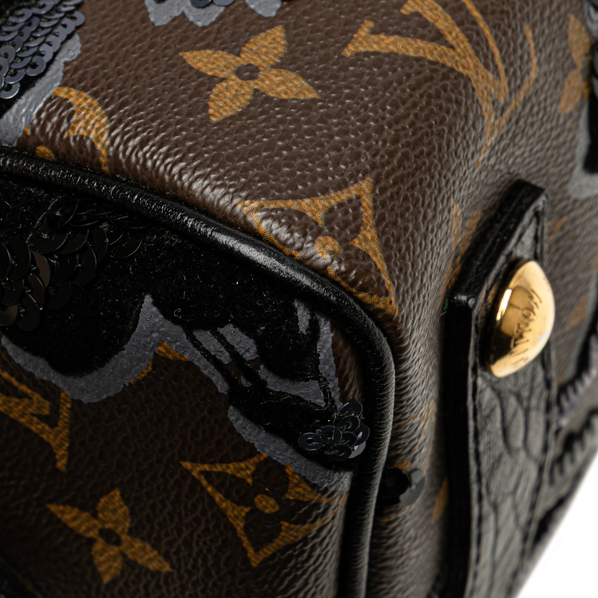 Louis Vuitton Monogram Fleur De Jais Carrousel - image 12