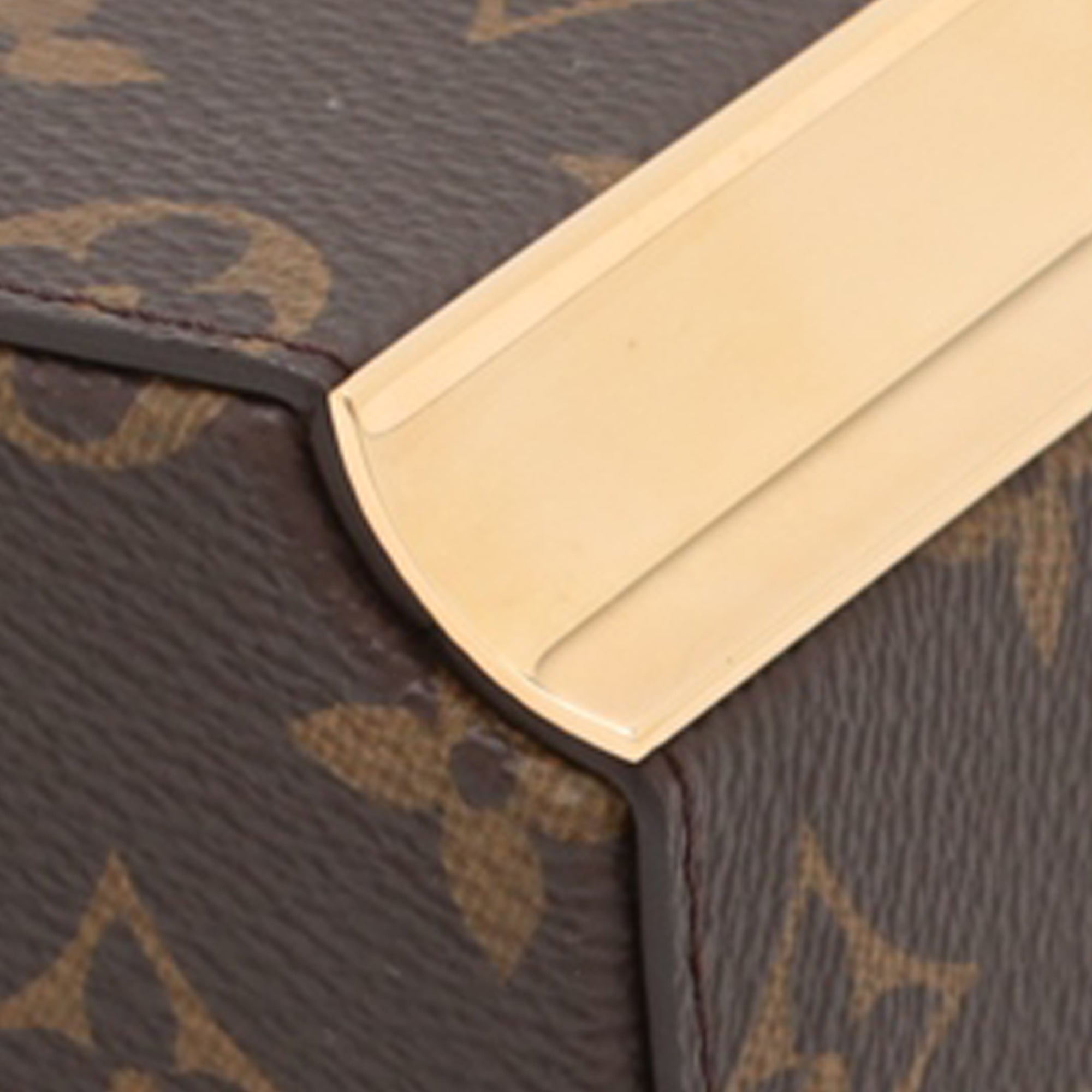 Louis Vuitton Monogram Camera Box Colonne - image 10