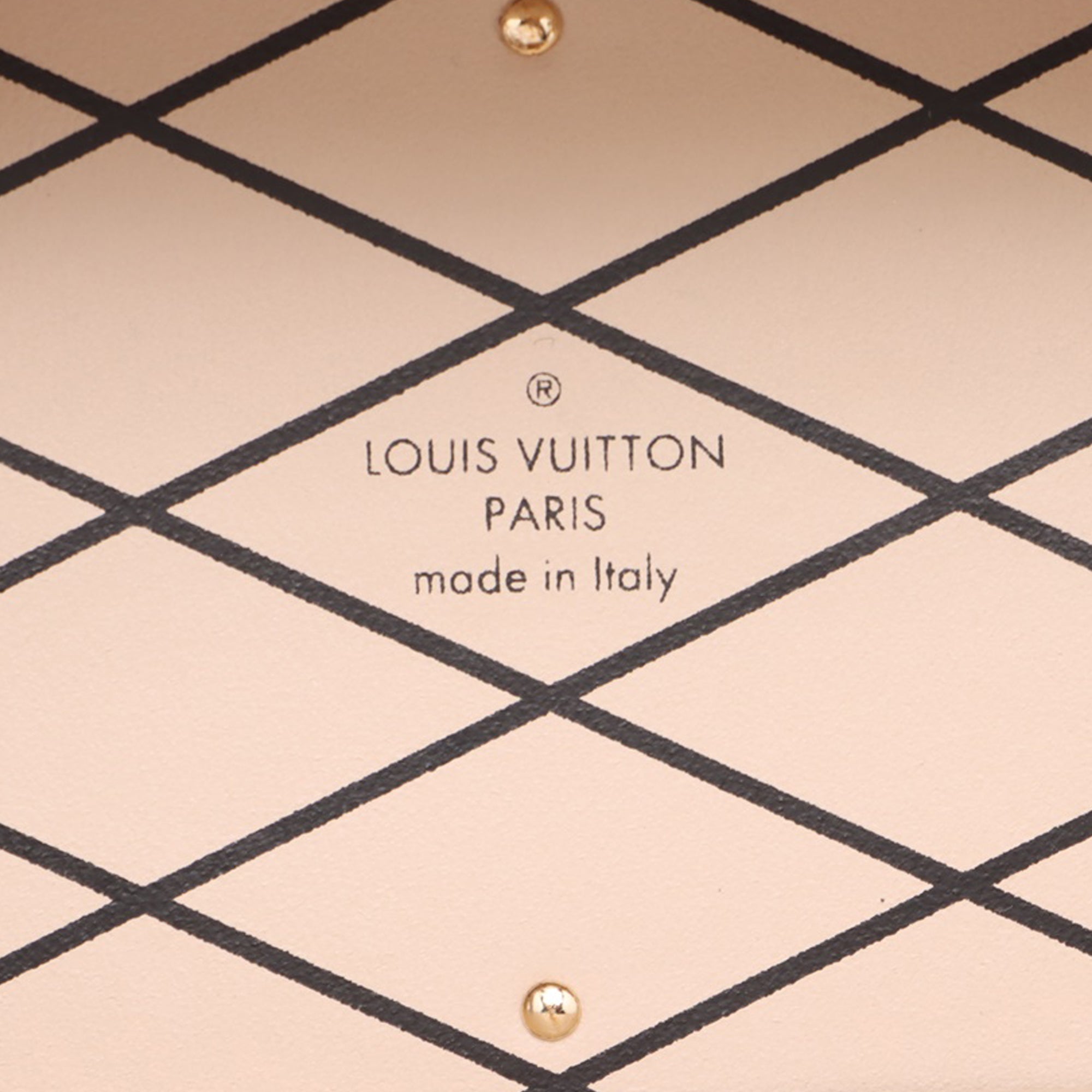 Louis Vuitton Monogram Camera Box Colonne - image 4