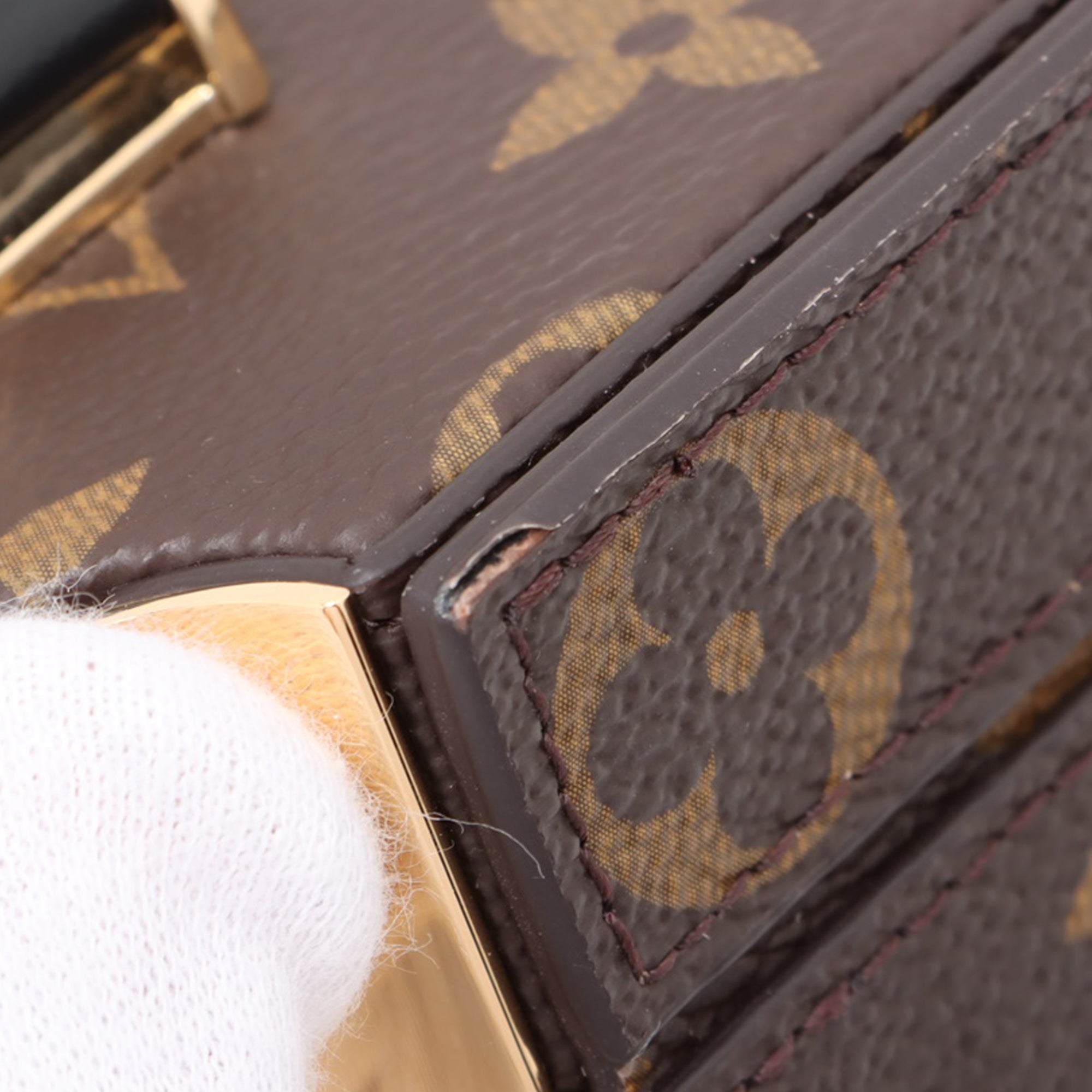 Louis Vuitton Monogram Camera Box Colonne - image 5