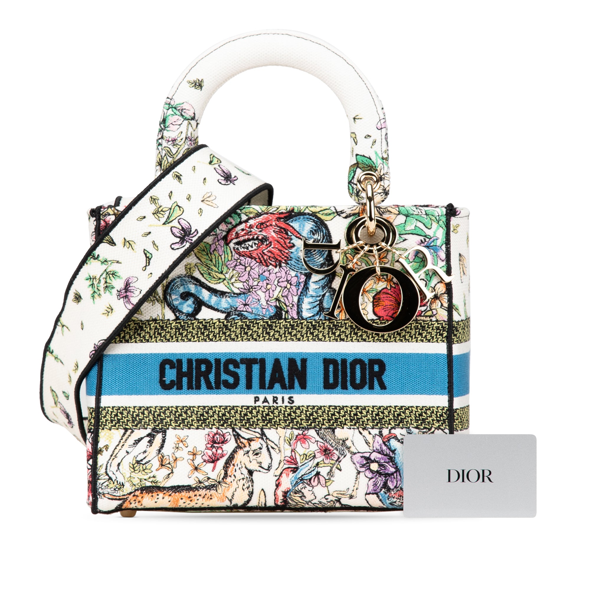 Dior Medium Embroidered Canvas D Constellation Lady D Lite - image 12