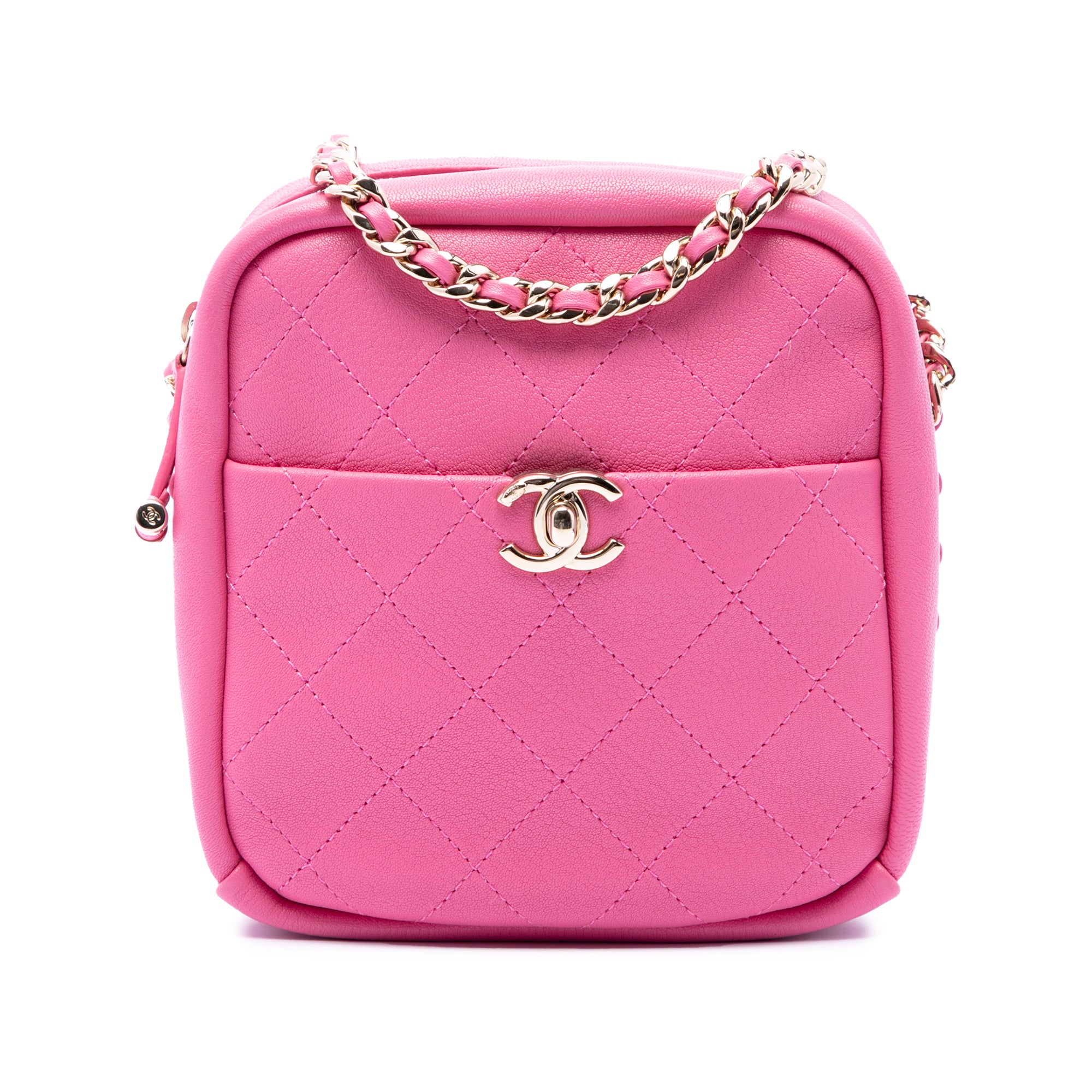 Chanel Stitched Goatskin Casual Trip North South Camera Case - image 1