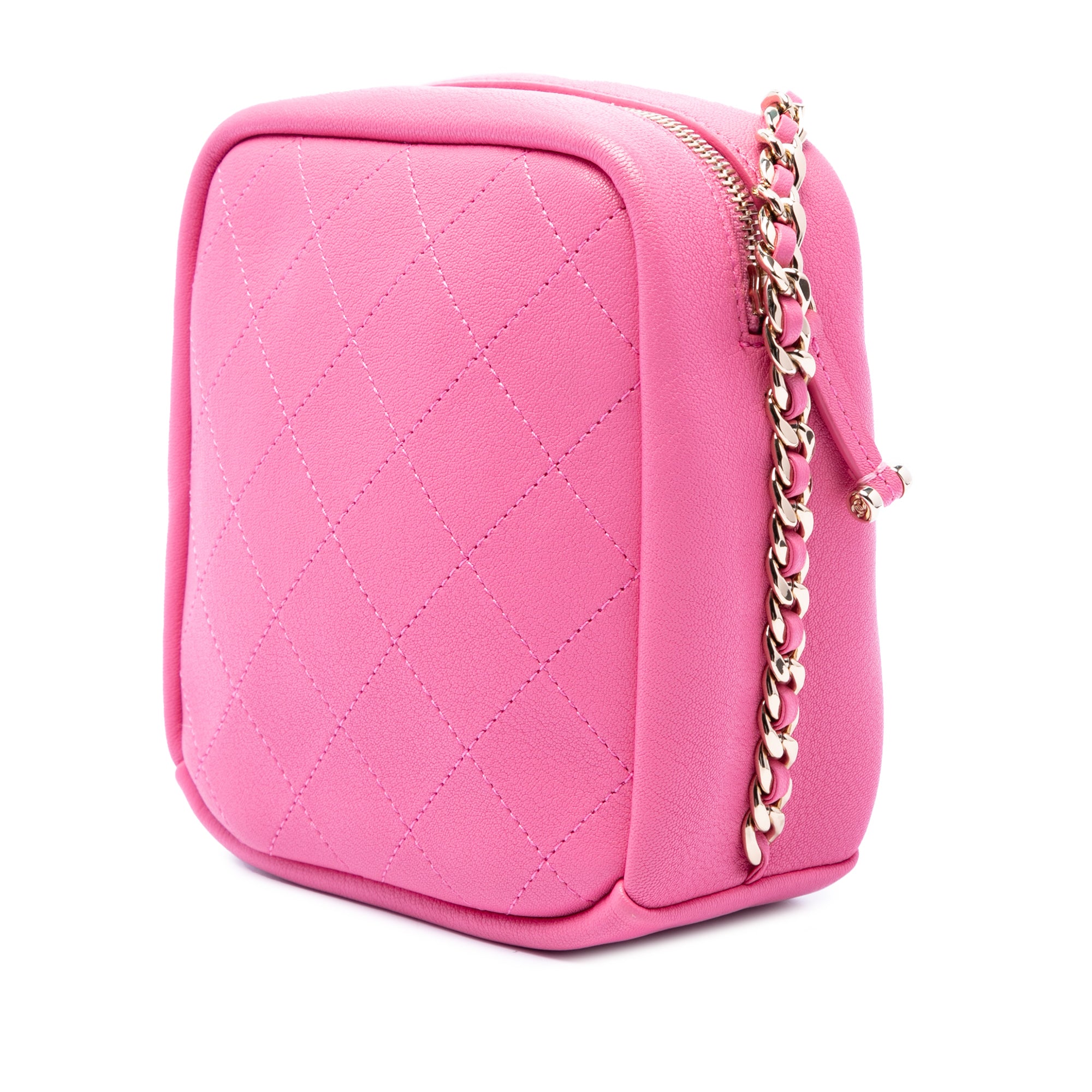 Chanel Stitched Goatskin Casual Trip North South Camera Case - image 2
