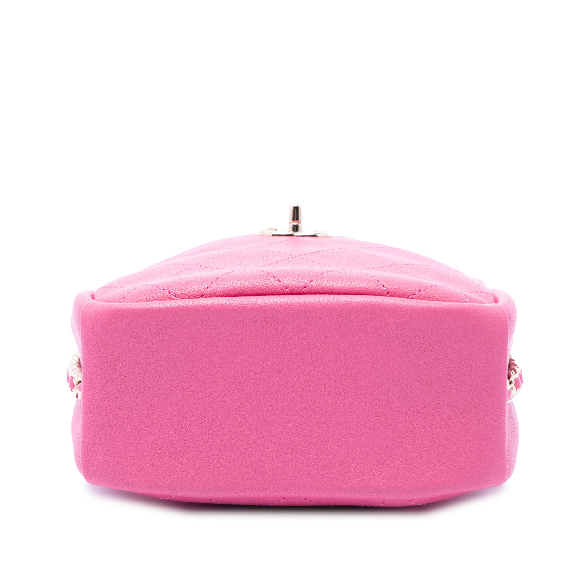 Chanel Stitched Goatskin Casual Trip North South Camera Case - image 3