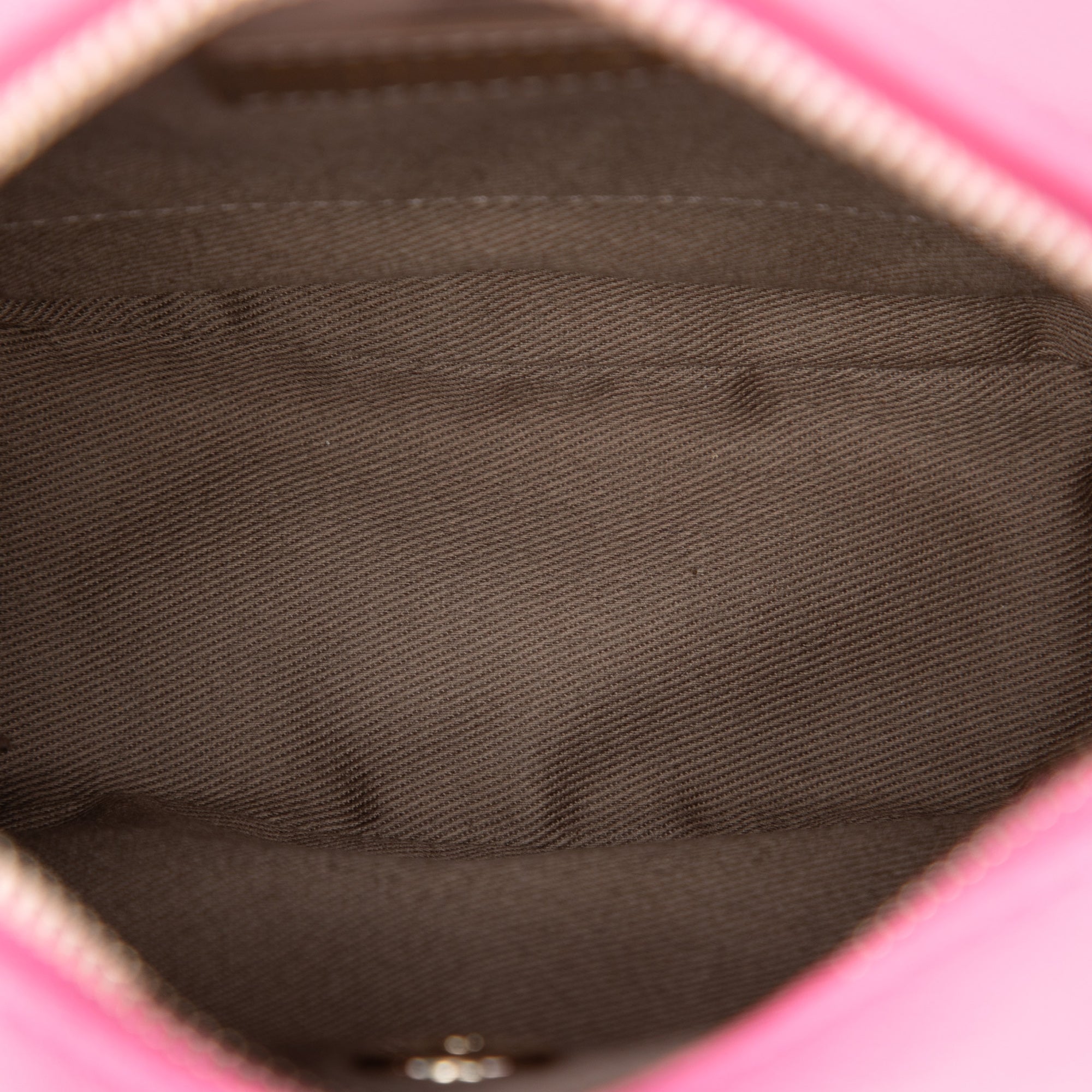 Chanel Stitched Goatskin Casual Trip North South Camera Case - image 4