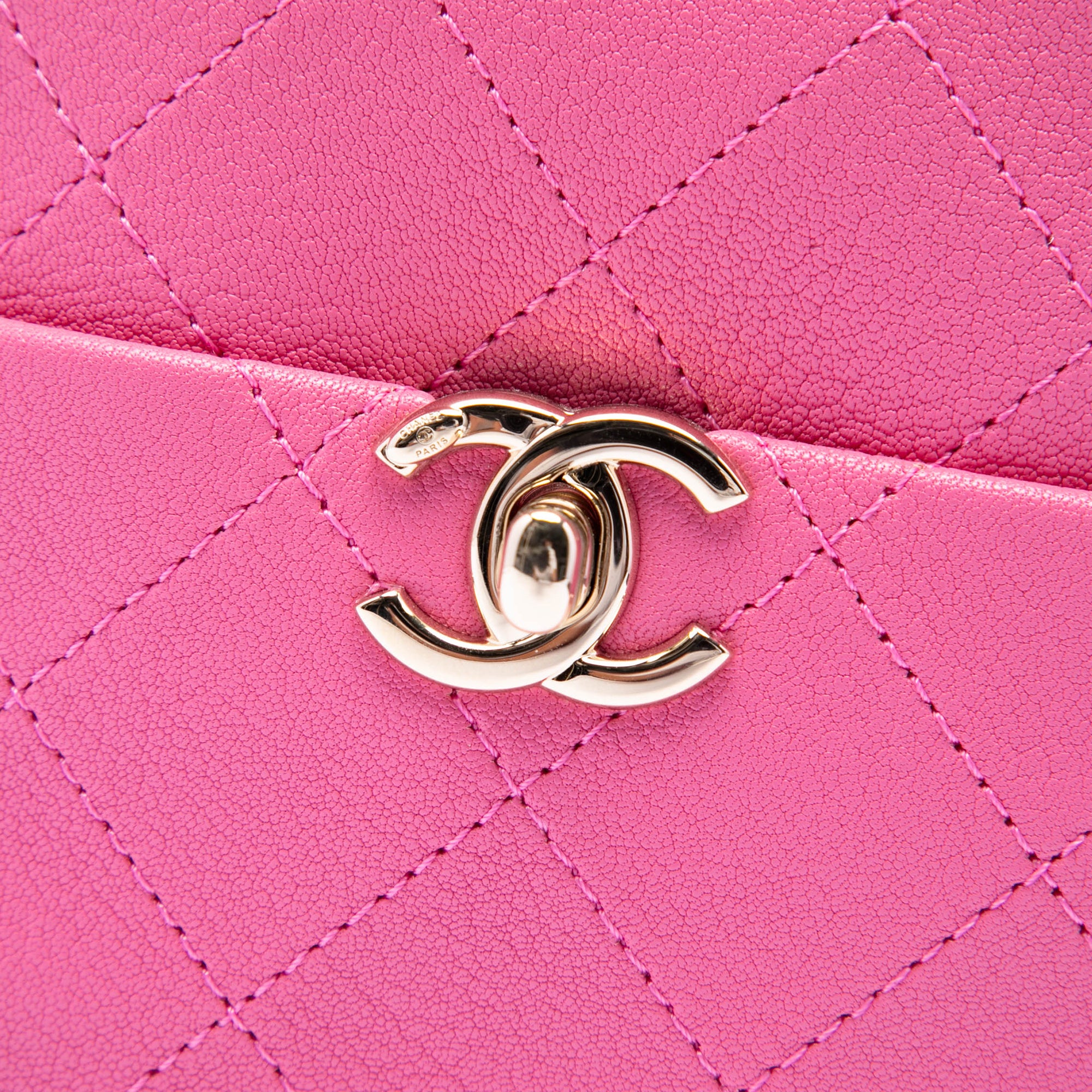 Chanel Stitched Goatskin Casual Trip North South Camera Case - image 5
