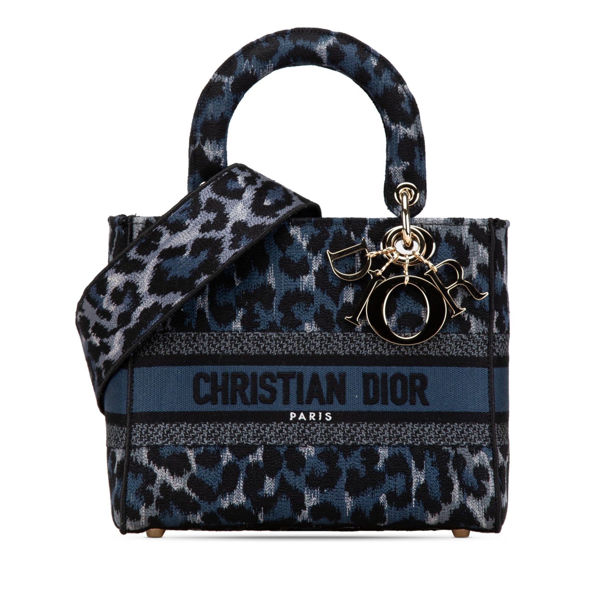Dior Mizza Medium Embroidered Canvas Leopard Lady D Lite - image 1