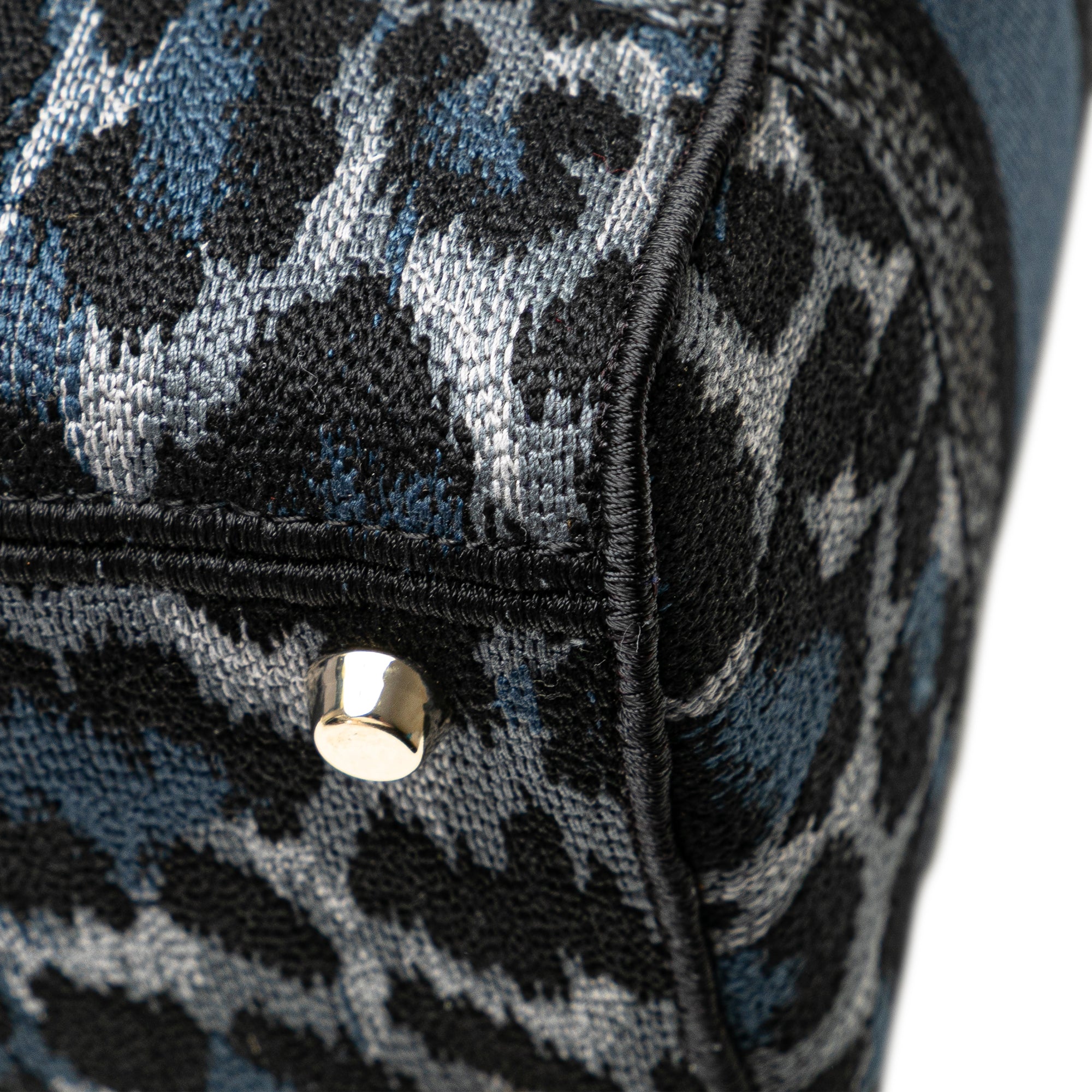 Dior Mizza Medium Embroidered Canvas Leopard Lady D Lite - image 10