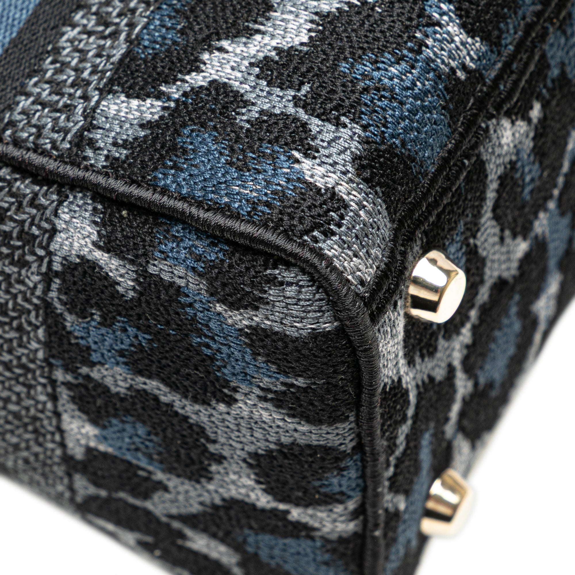 Dior Mizza Medium Embroidered Canvas Leopard Lady D Lite - image 11