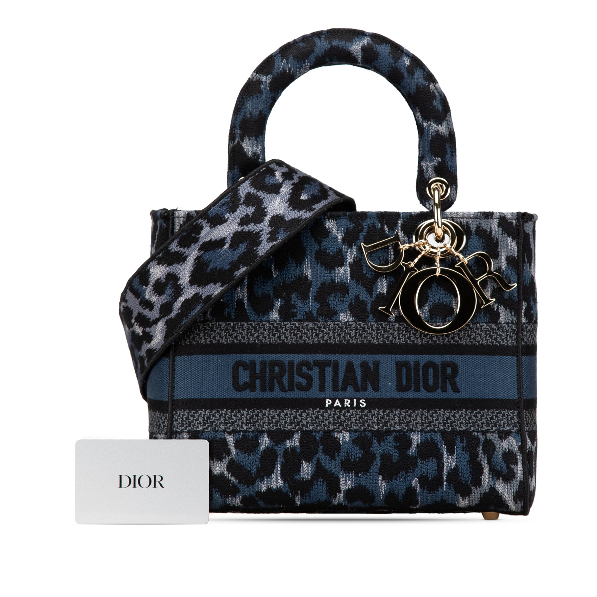 Dior Mizza Medium Embroidered Canvas Leopard Lady D Lite - image 14