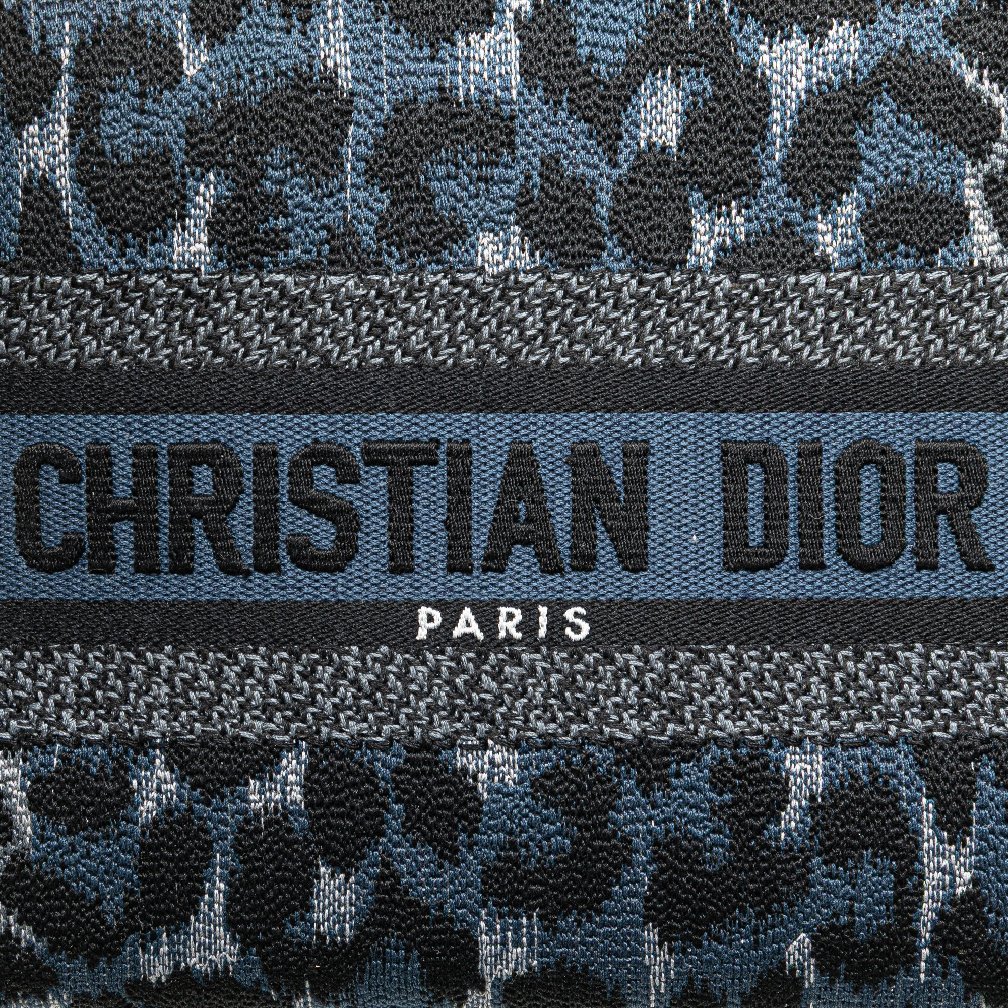 Dior Mizza Medium Embroidered Canvas Leopard Lady D Lite - image 9