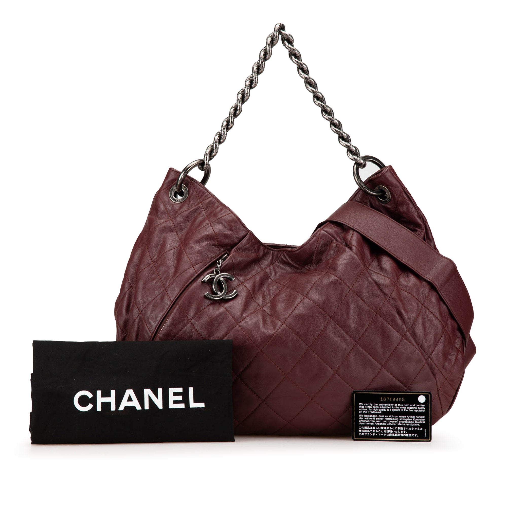 Chanel Quilted Calfskin Coco Pleats Hobo - image 16