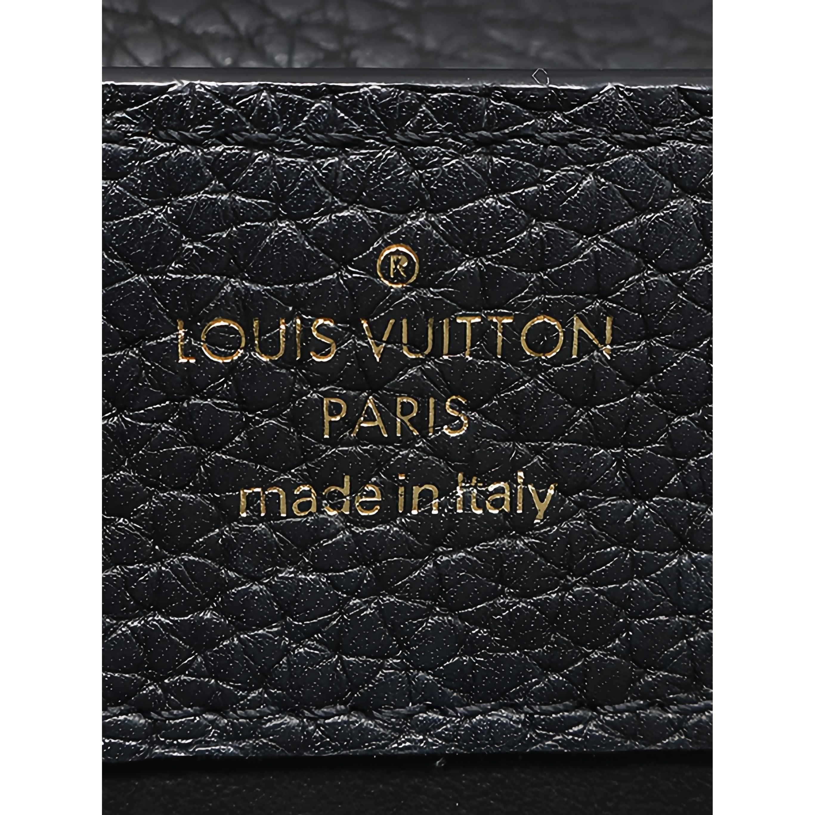 Louis Vuitton Taurillon Mini Capucines - image 5