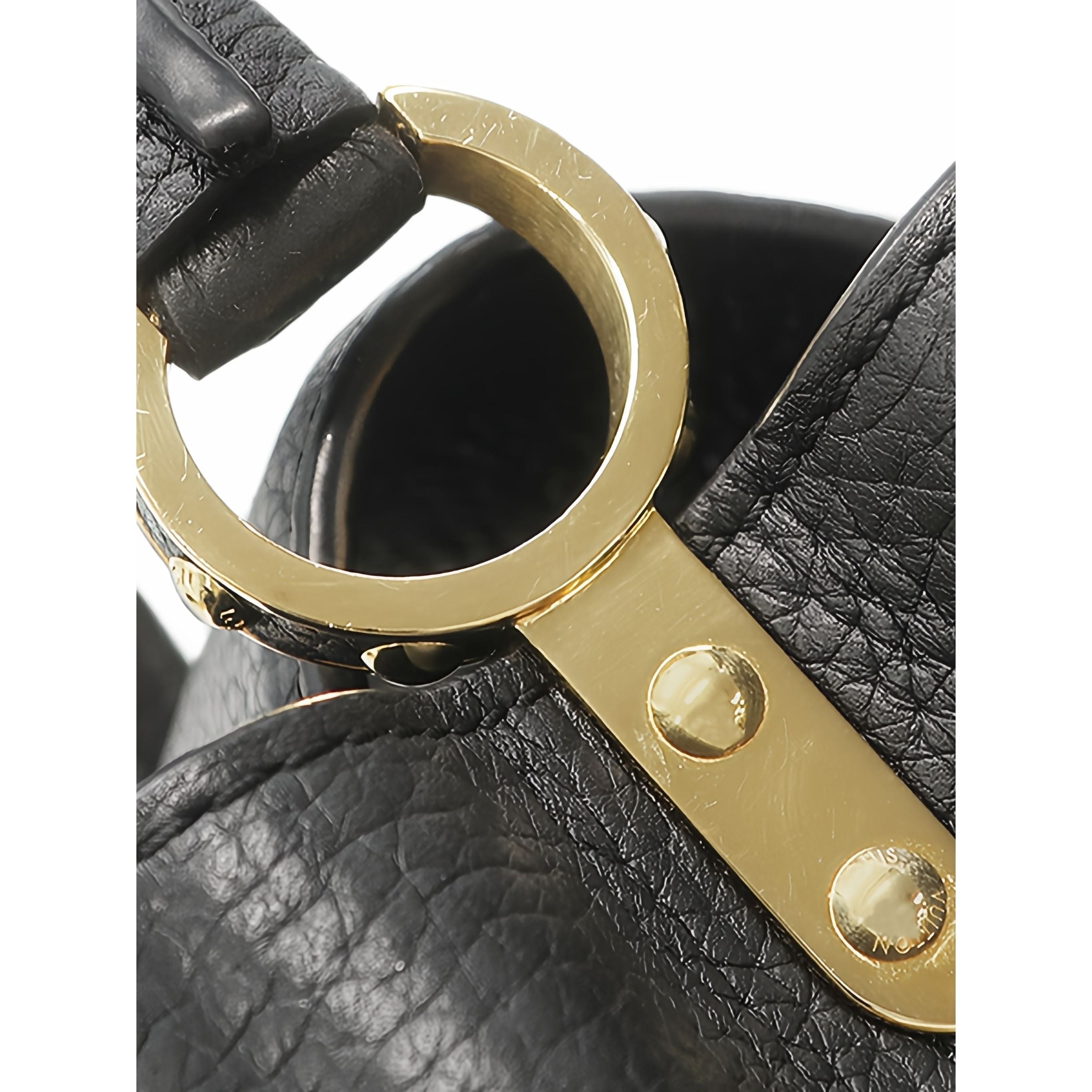 Louis Vuitton Taurillon Mini Capucines - image 8