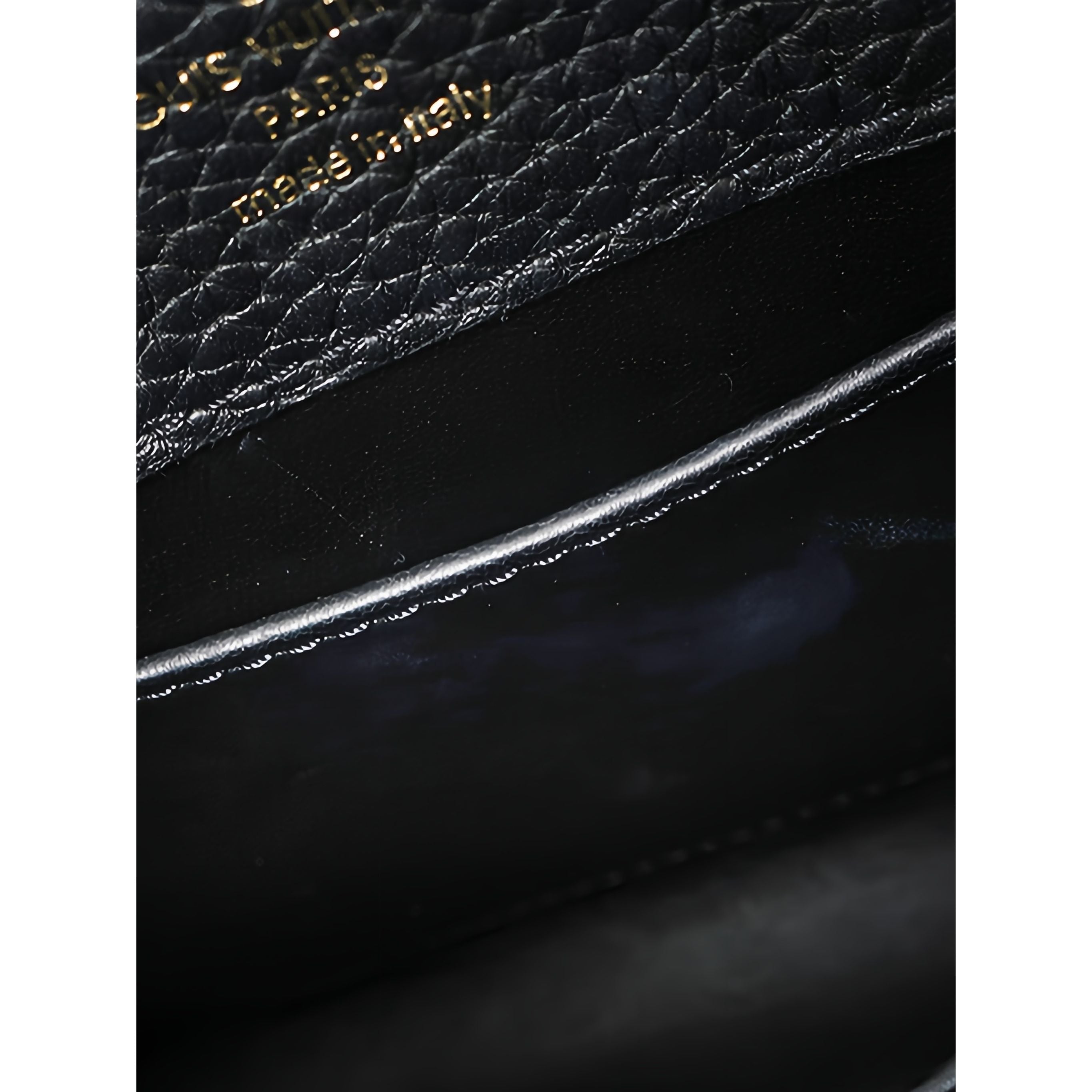 Louis Vuitton Taurillon Mini Capucines - image 9