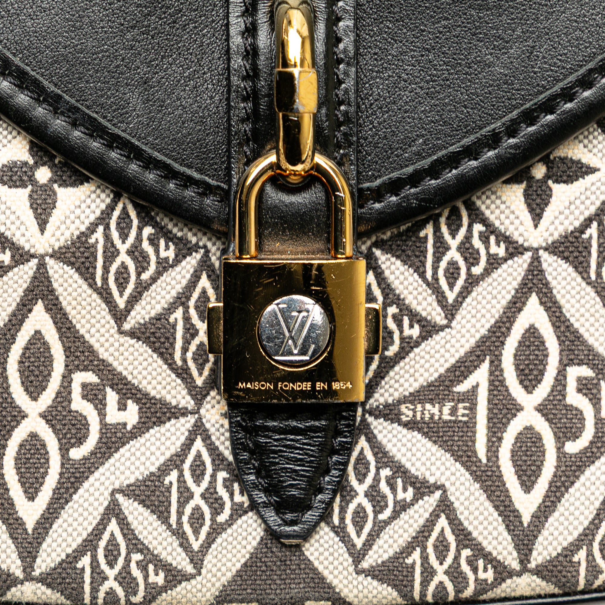 Louis Vuitton Since 1854 Neo Saumur MM - image 7