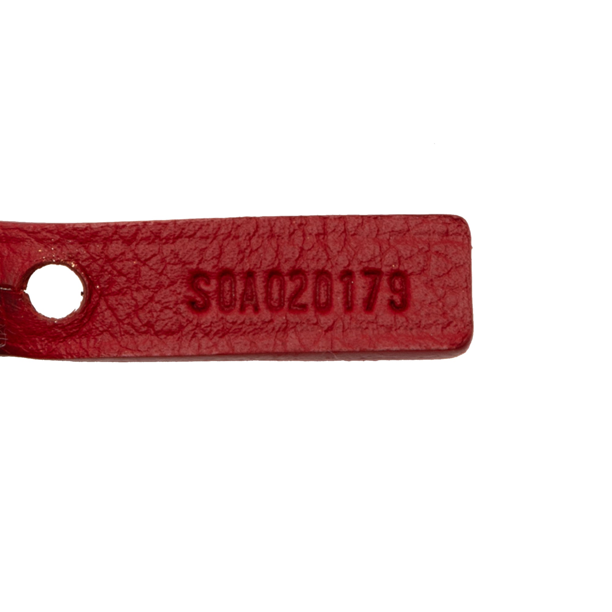 Goyard Goyardine Saint Louis PM - image 6